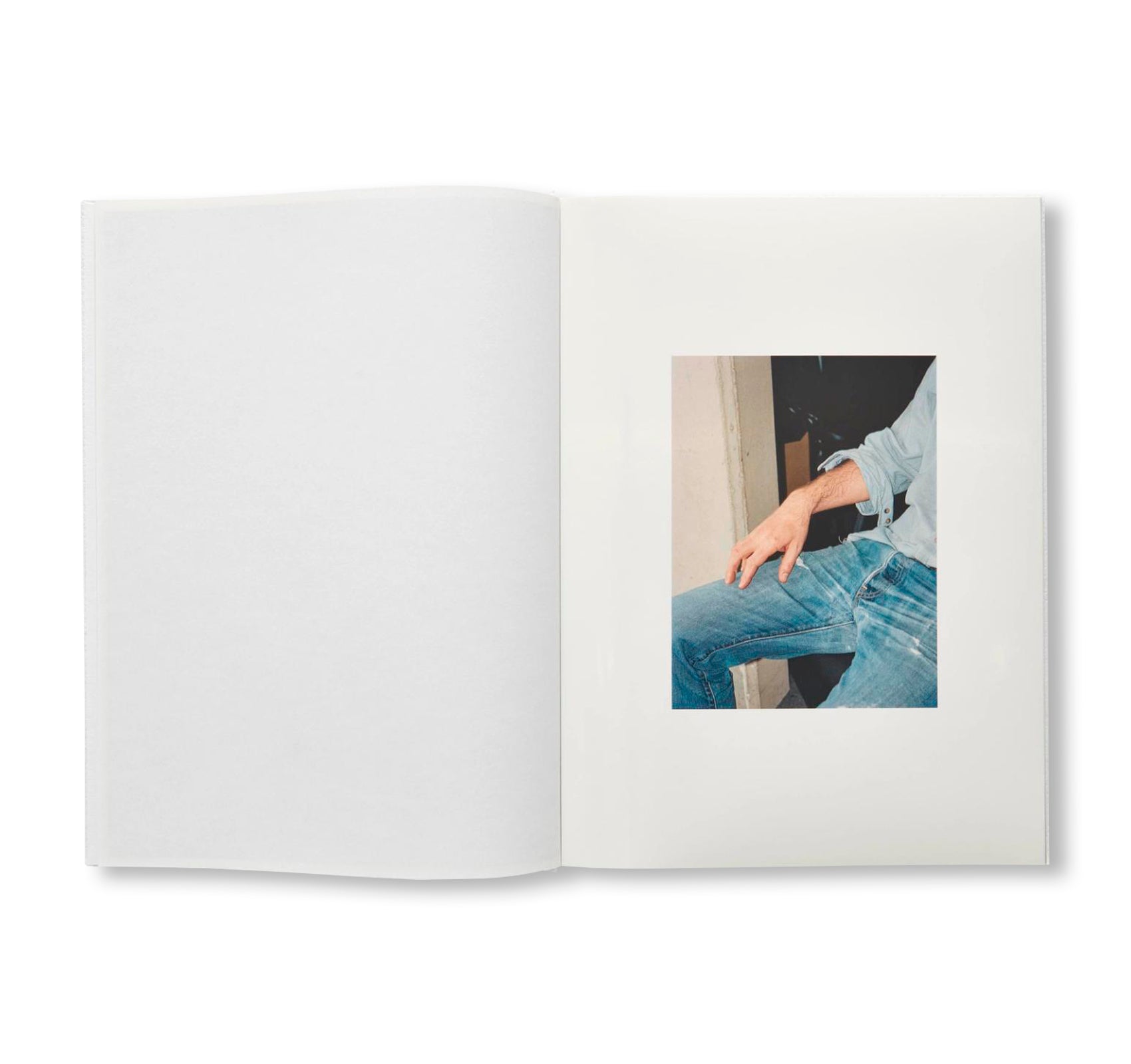 GABORITRONALDHAMILTON by Anthea Hamilton, Delphine Gaborit, Lewis Ronald