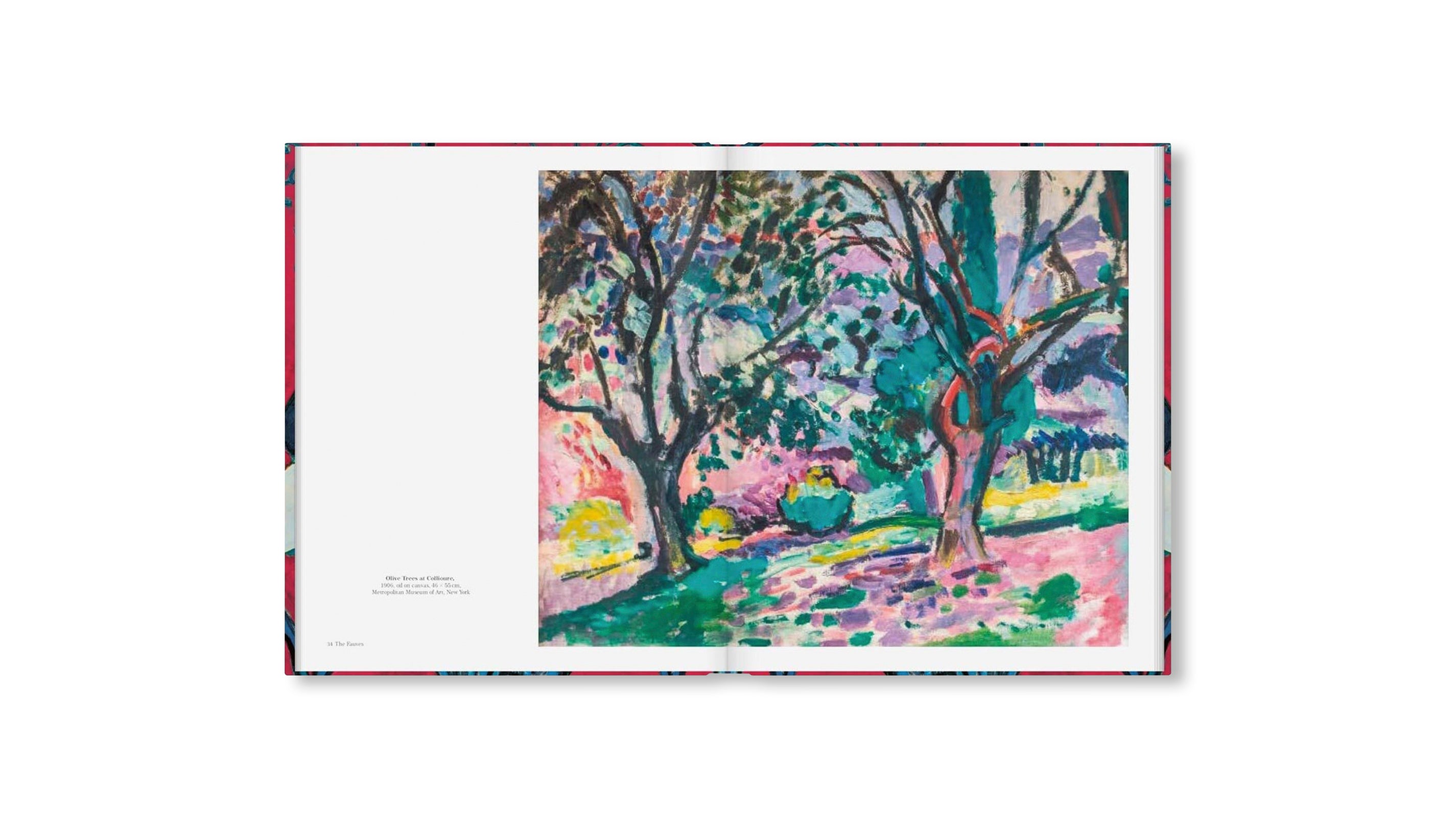 MATISSE - THE BIGGER PICTURE by Anne Sefrioui