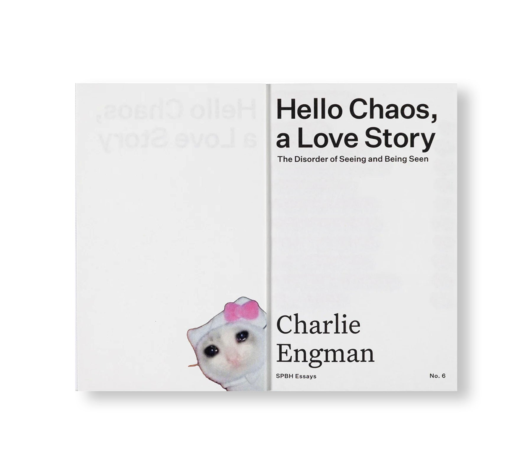 HELLO CHAOS, A LOVE STORY: THE DISORDER OF SEEING AND BEING SEEN by Charlie Engman