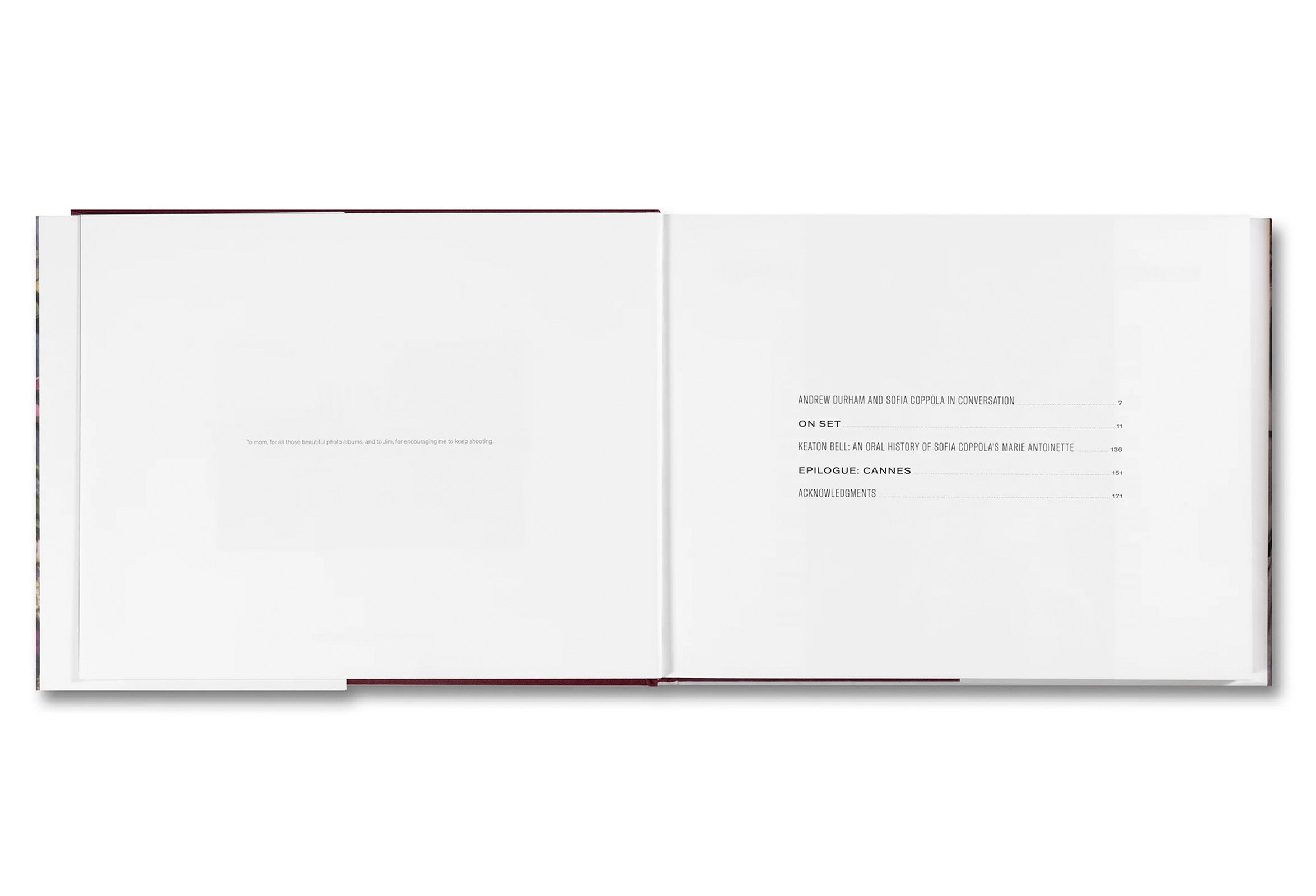 MAKING MARIE ANTOINETTE by Andrew Durham