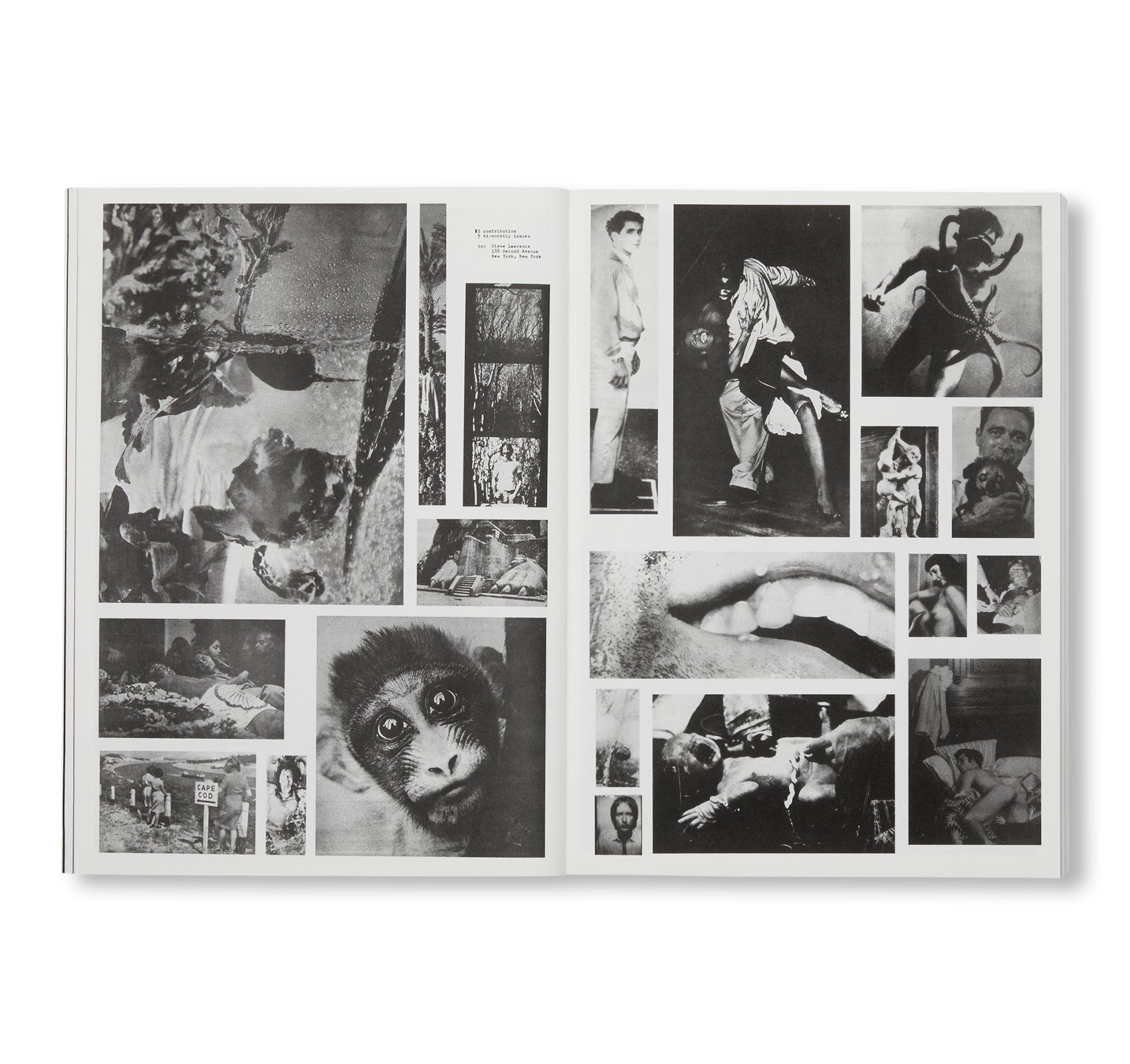 NEWSPAPER by Steve Lawrence, Peter Hujar, Andrew Ullrick