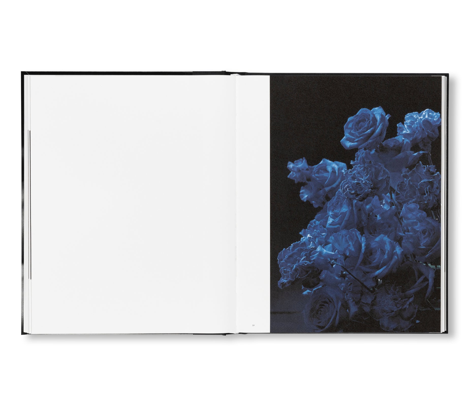 SAKIKO NOMURA: TENDER IS THE NIGHT by Sakiko Nomura