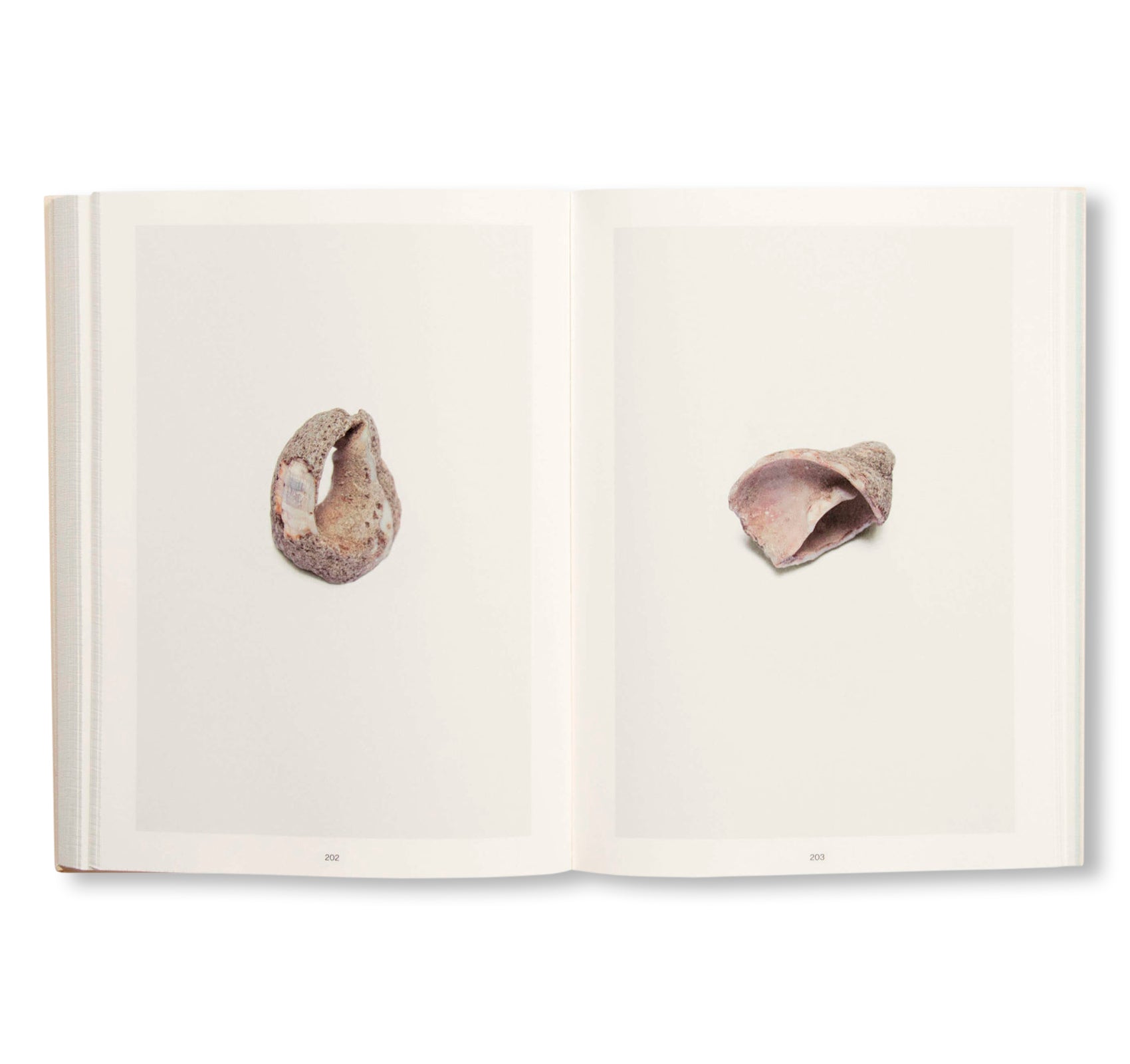 SHELL READER by Nina Canell