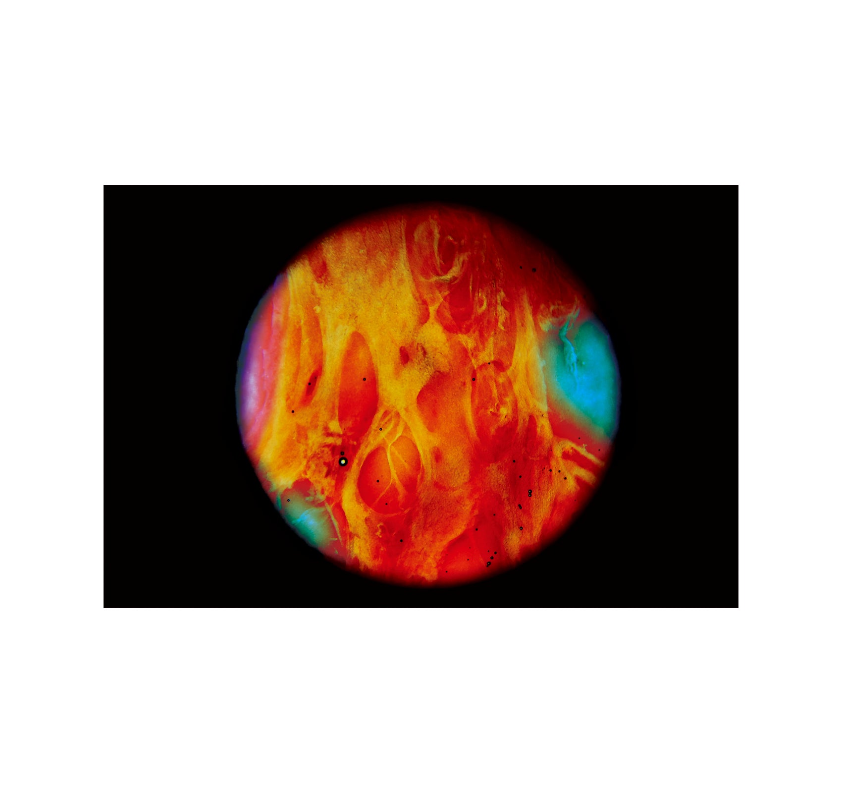 MY BLOODY HAND by Momo Okabe [SIGNED]