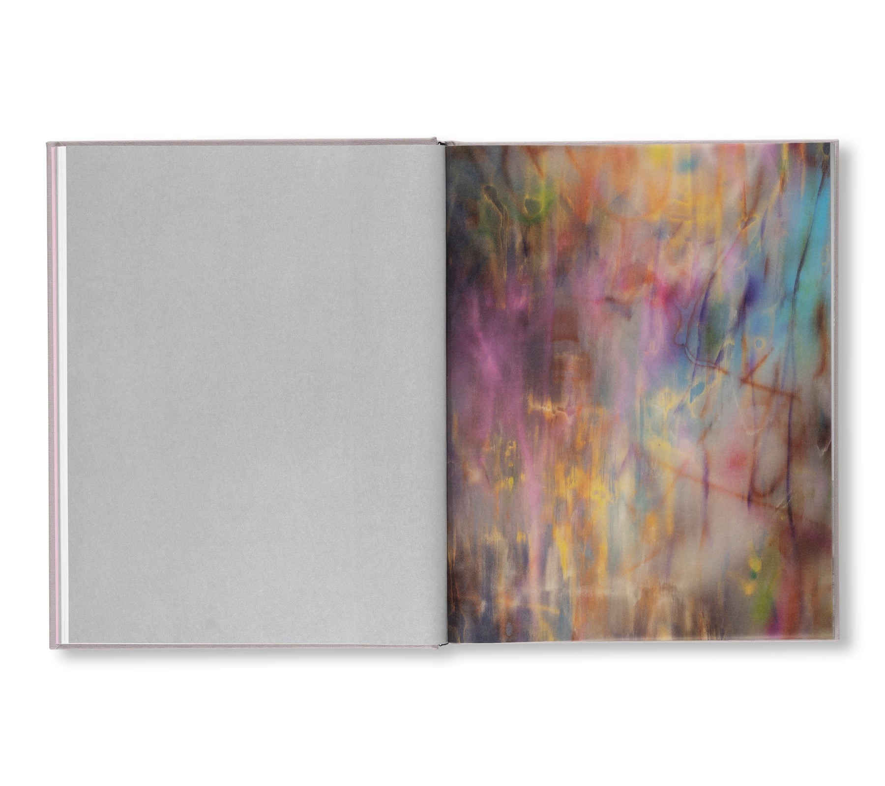 A TRANSCORE OF THE RADICAL IMAGINATORY by Julie Mehretu