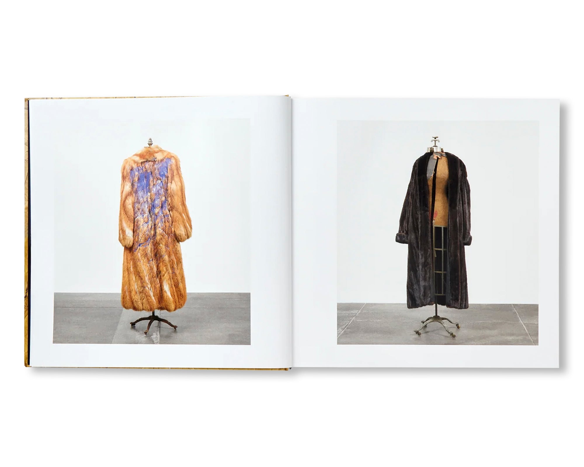 DAVID HAMMONS by David Hammons (HAUSER & WIRTH)
