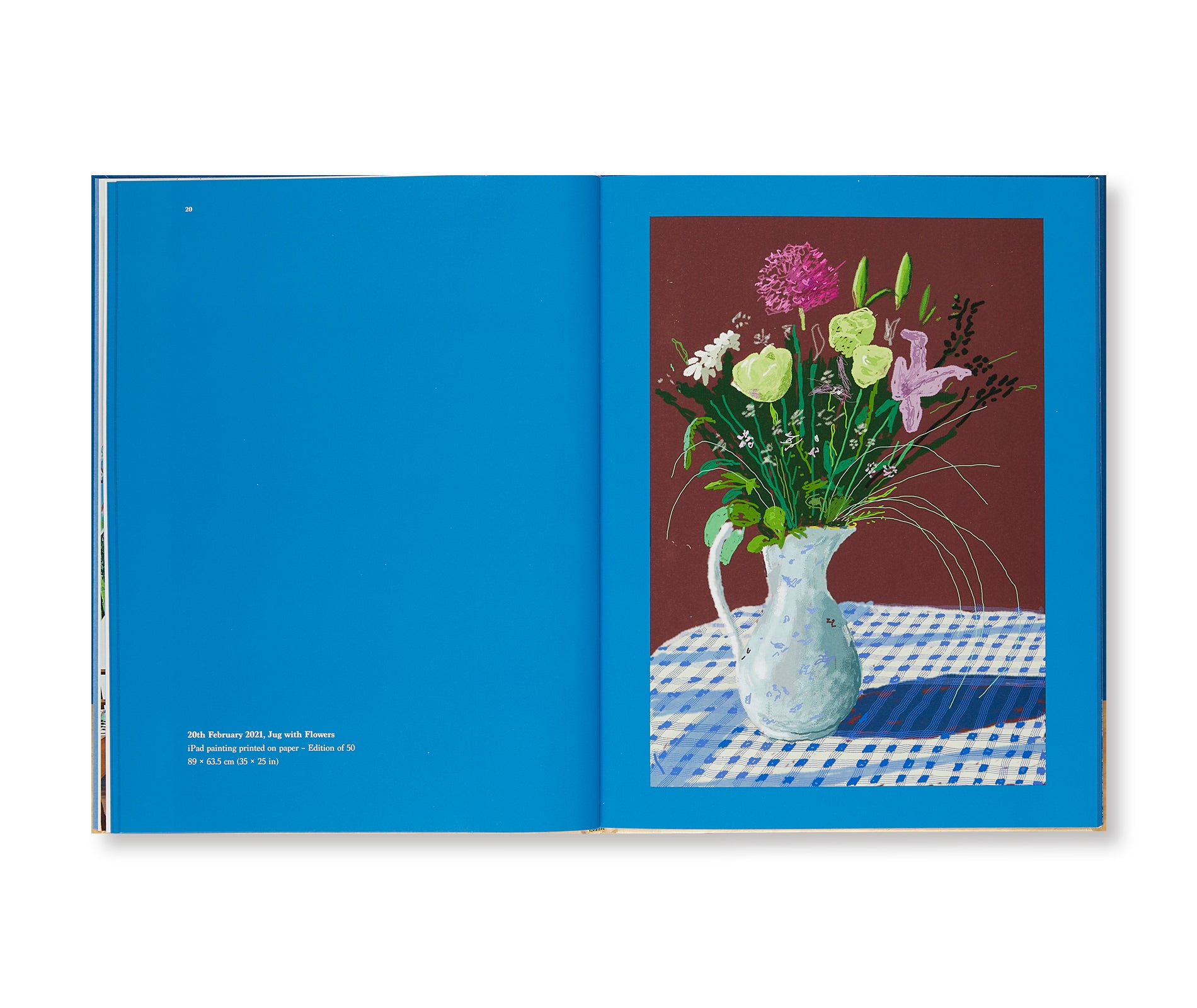 20 FLOWERS AND SOME BIGGER PICTURES by David Hockney