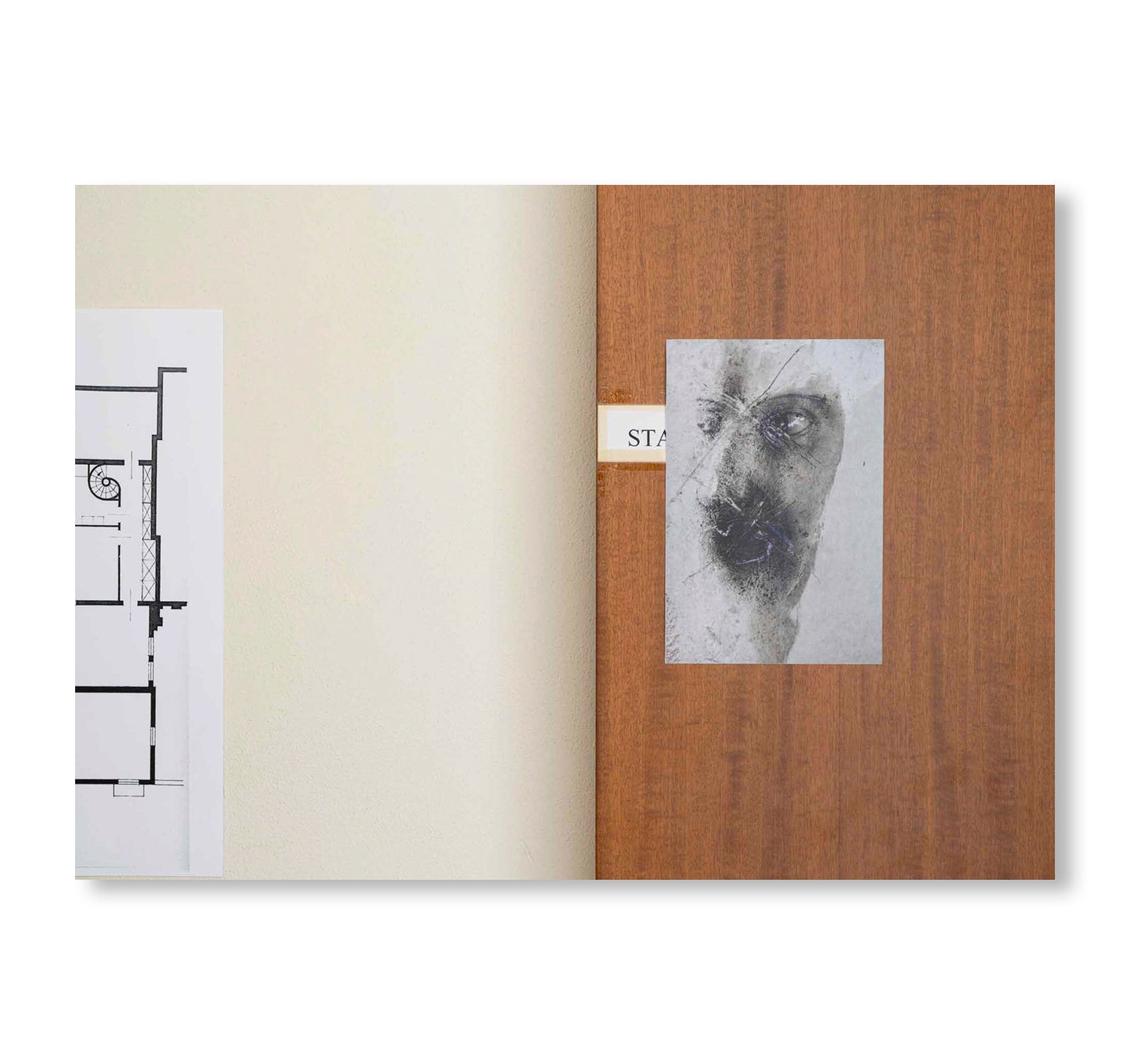 TO LOVE AND DEVOUR by Tolia Astakhishvili