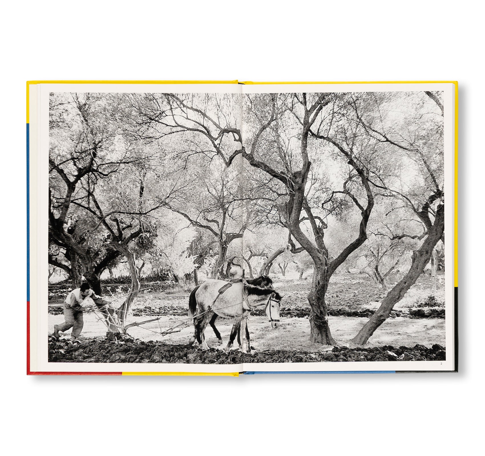 HENRI CARTIER-BRESSON: THE EUROPEANS by Henri Cartier-Bresson, Clément Chéroux [NEW EDITION]