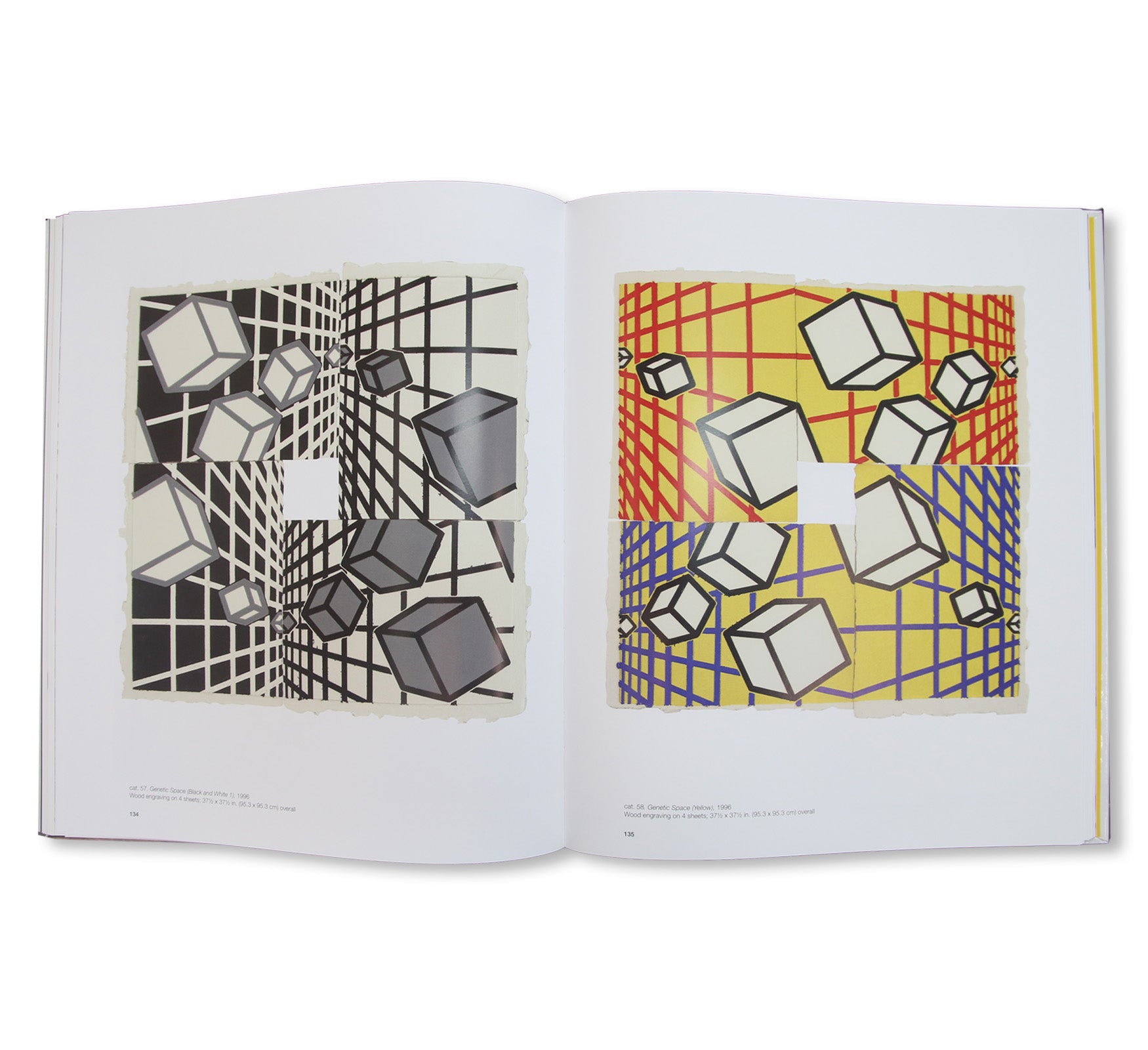AMAZING! MEL BOCHNER PRINTS by Mel Bochner