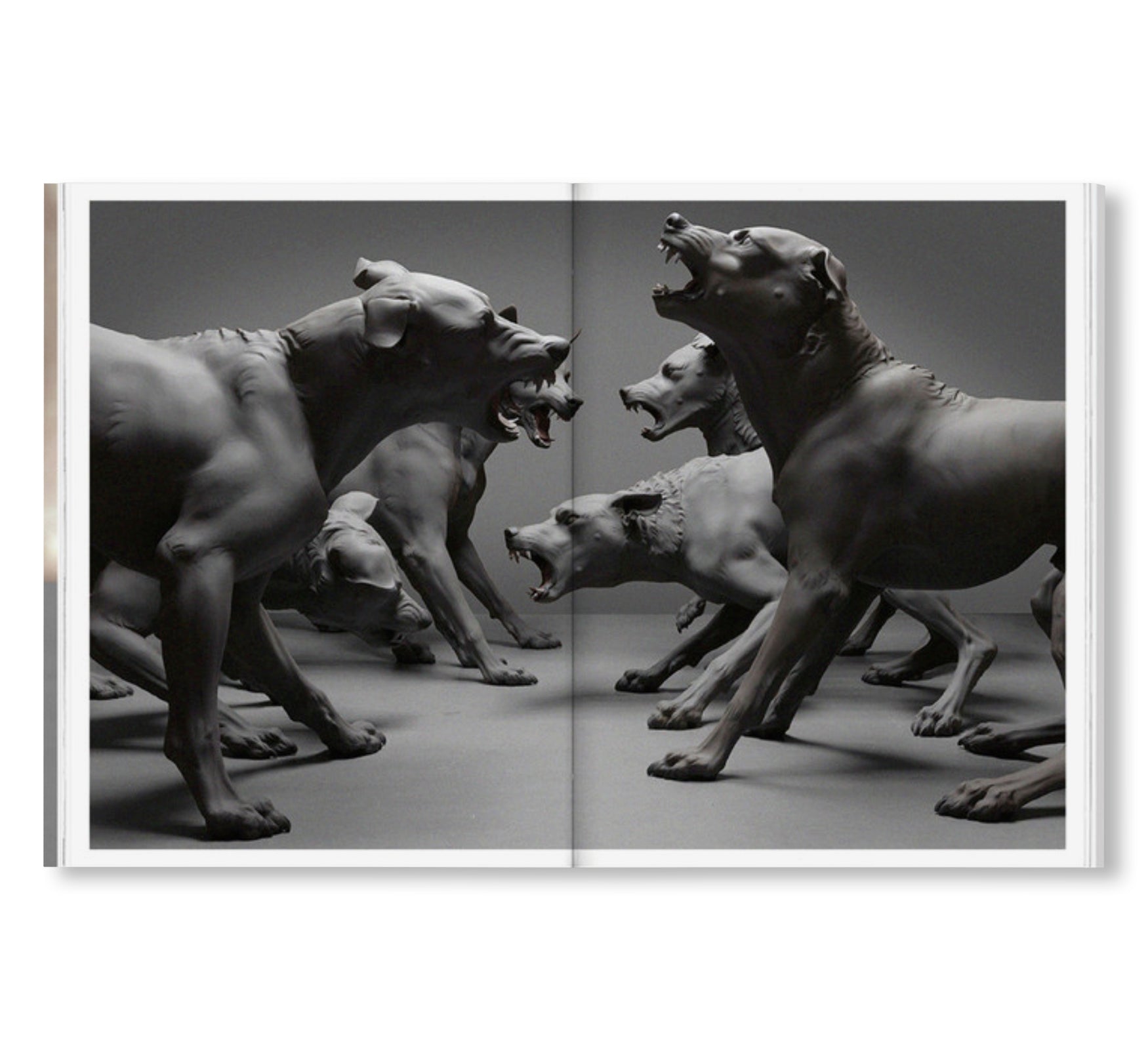 ENCOUNTER by Ron Mueck