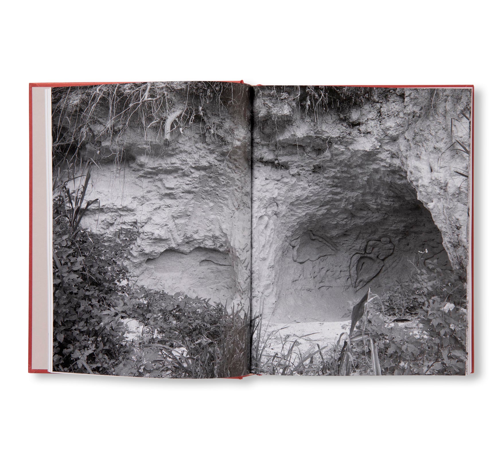 ANA MENDIETA by Ana Mendieta (TATE PUBLISHING)