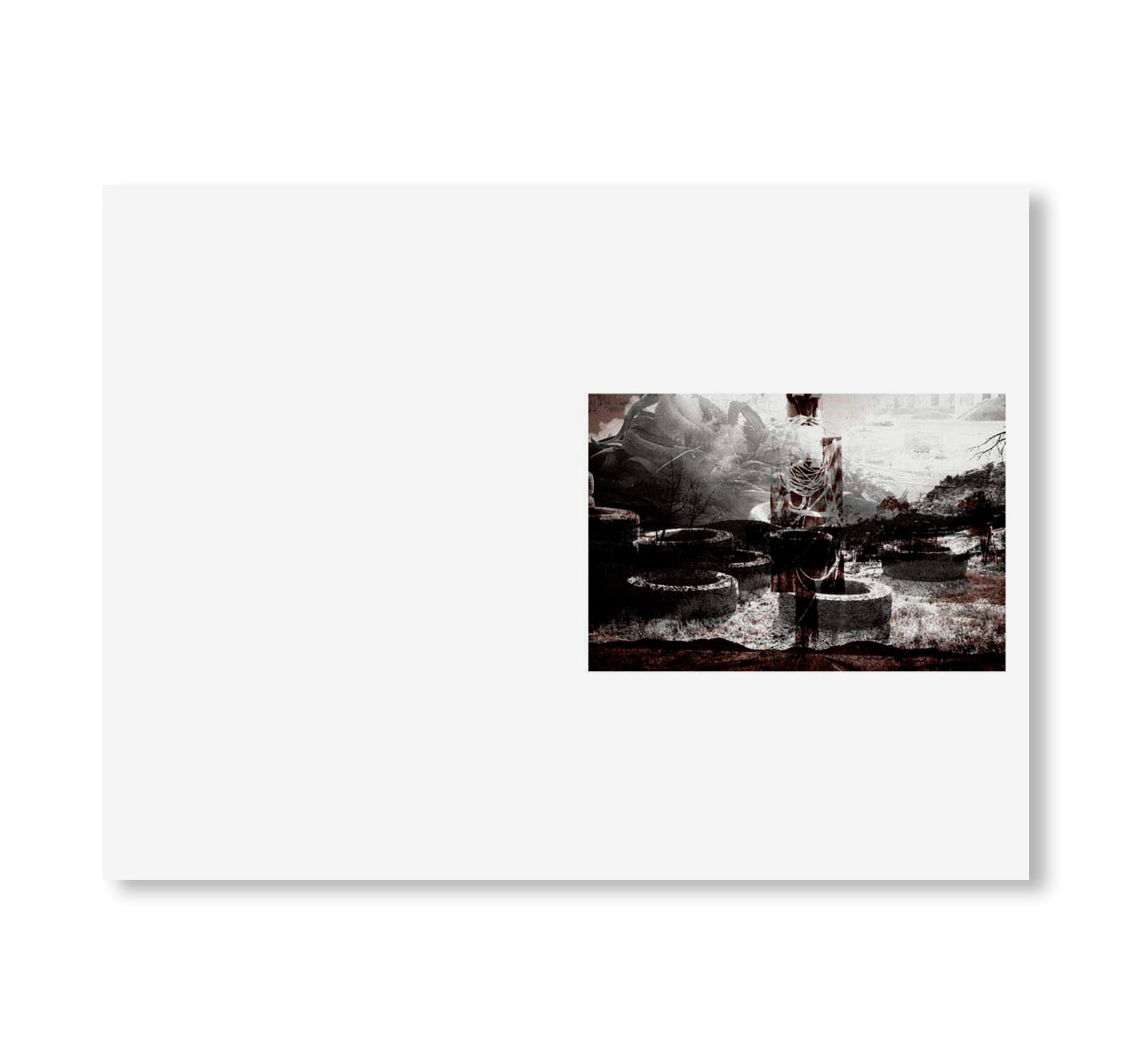 SWAMP by Christopher Wool [SIGNED]