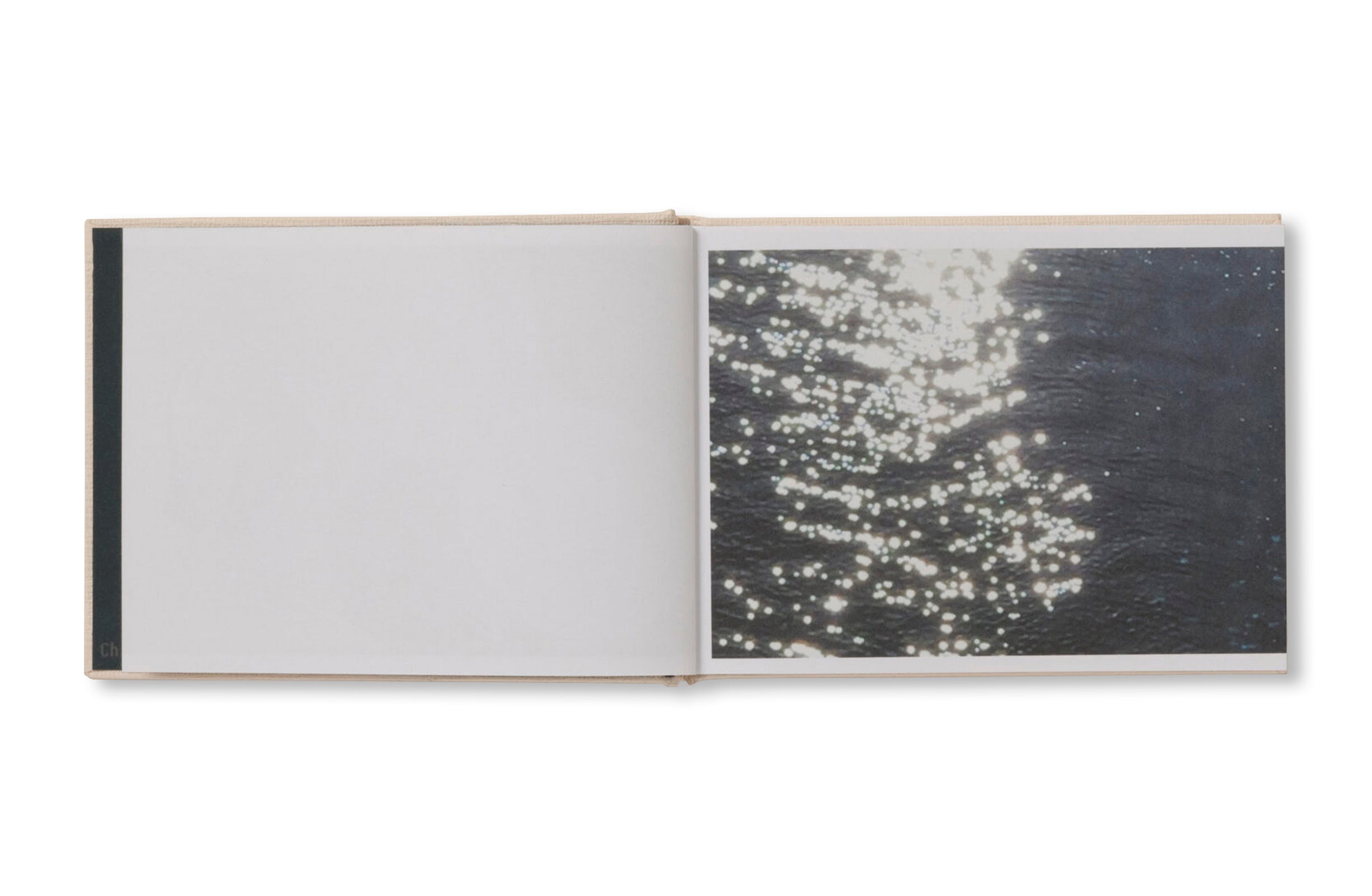 SCREENSHOTS FROM A SERIES OF VIDEOS ABOUT A RICE FIELD AND ITS SURROUNDINGS by Cintia Tortosa Santisteban