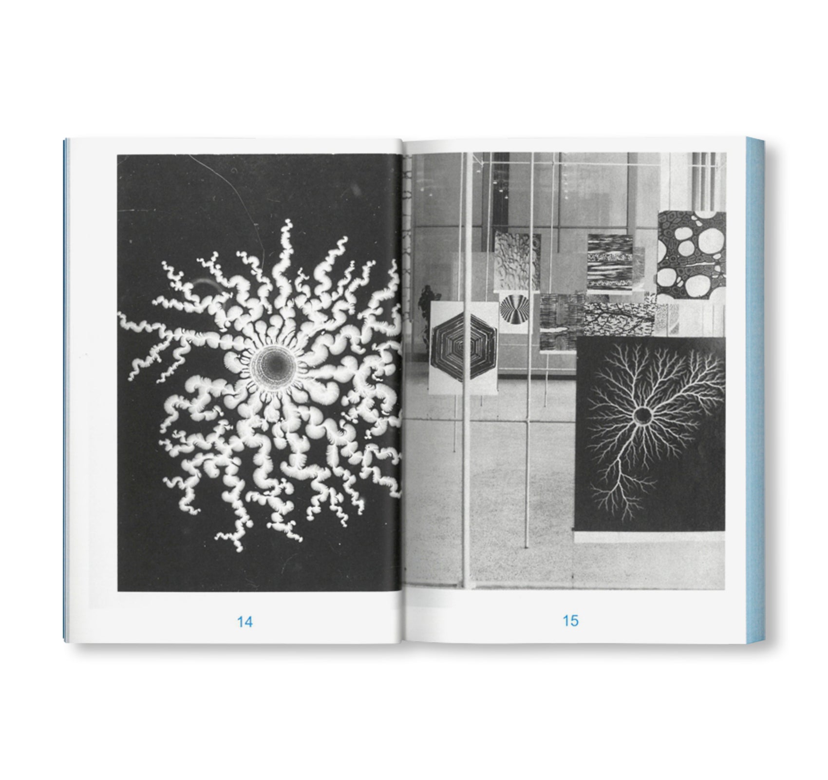 PEDAGOGIES OF MACHINE LEARNING - SCHOOLS OF DEPARTURE NO. 4 by Stiftung Bauhaus Dessau