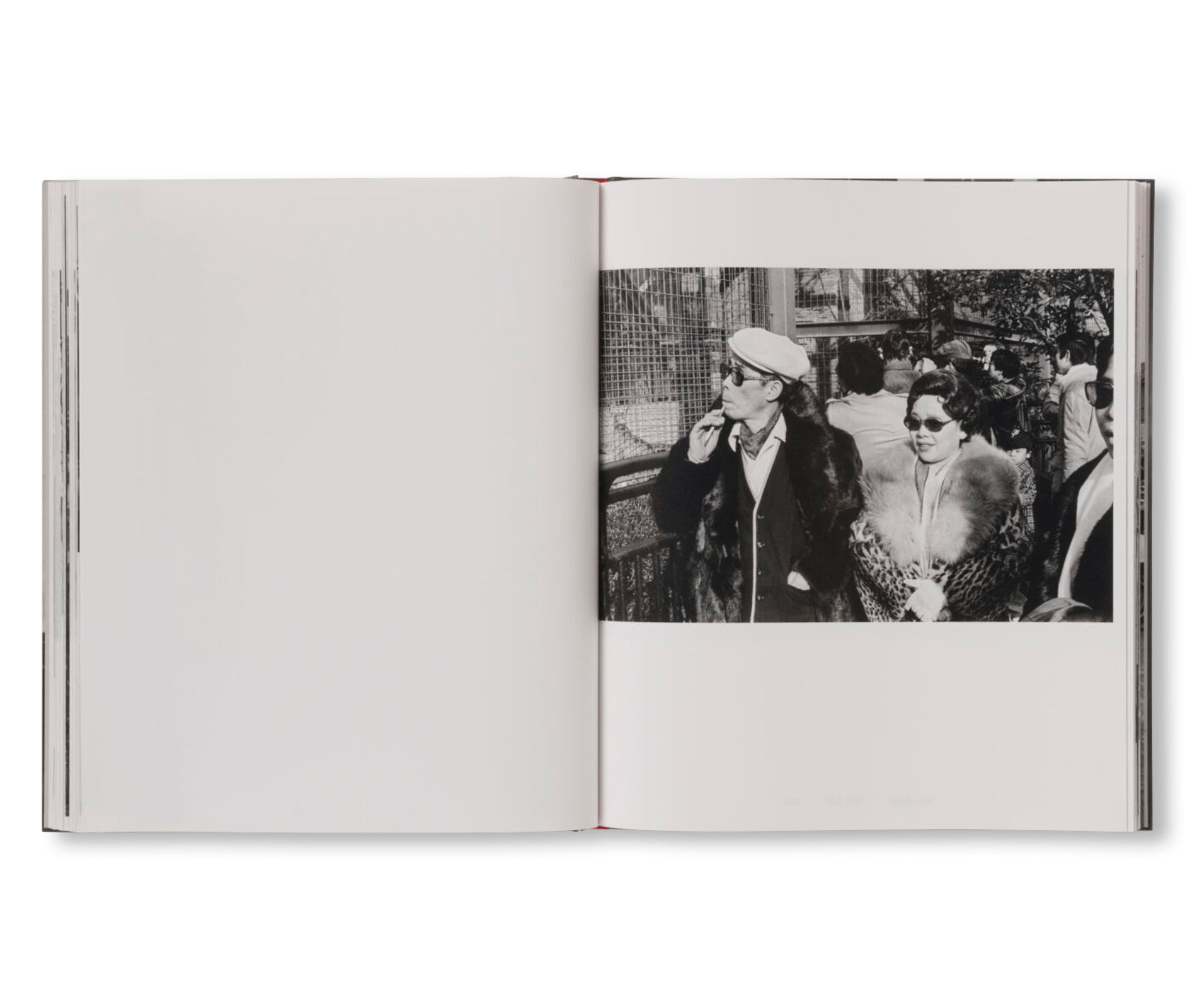 1960-80 by Fusako Kodama [SIGNED]