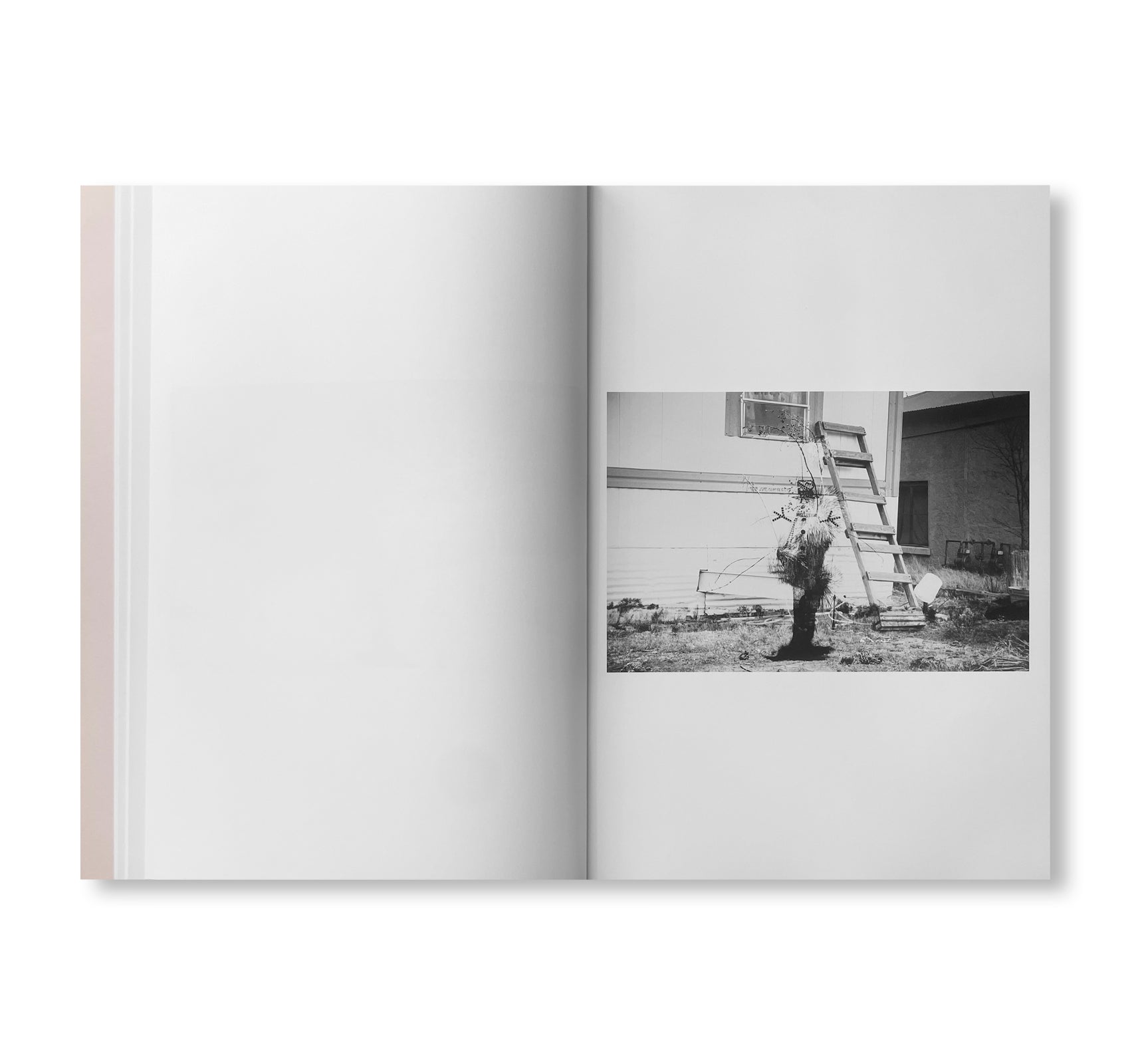YARD by Christopher Wool [SIGNED]