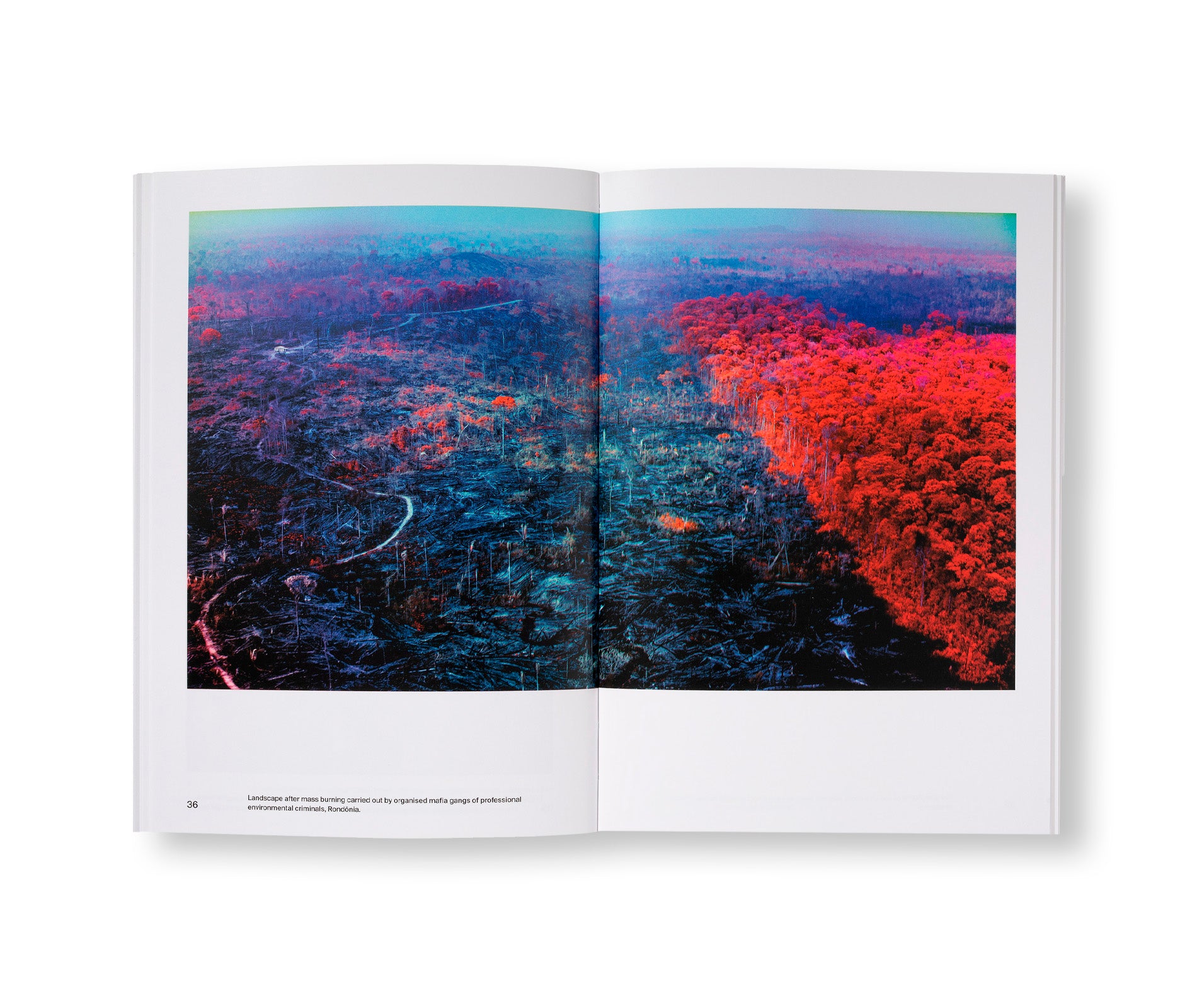 TATE PHOTOGRAPHY: RICHARD MOSSE by Richard Mosse