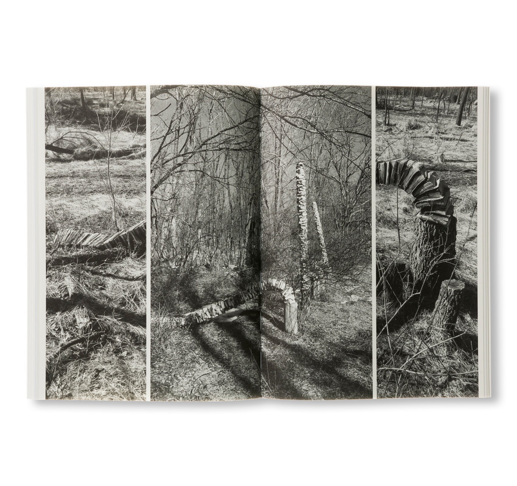 BOOK OF STACKS, STACKS OF BOOKS by Jared Bark