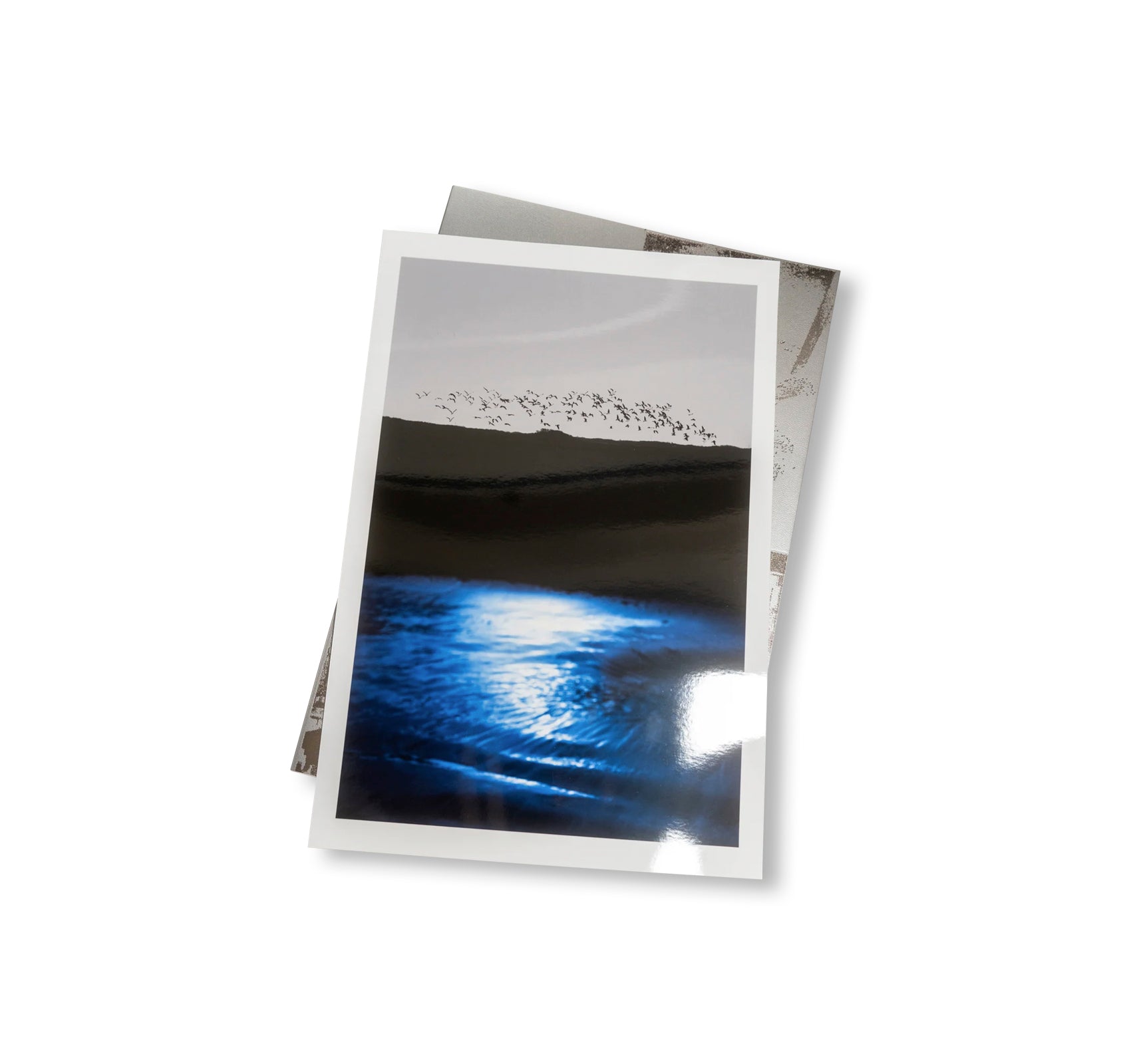 SEQUENCES by Yuichiro Noda [SPECIAL EDITION]