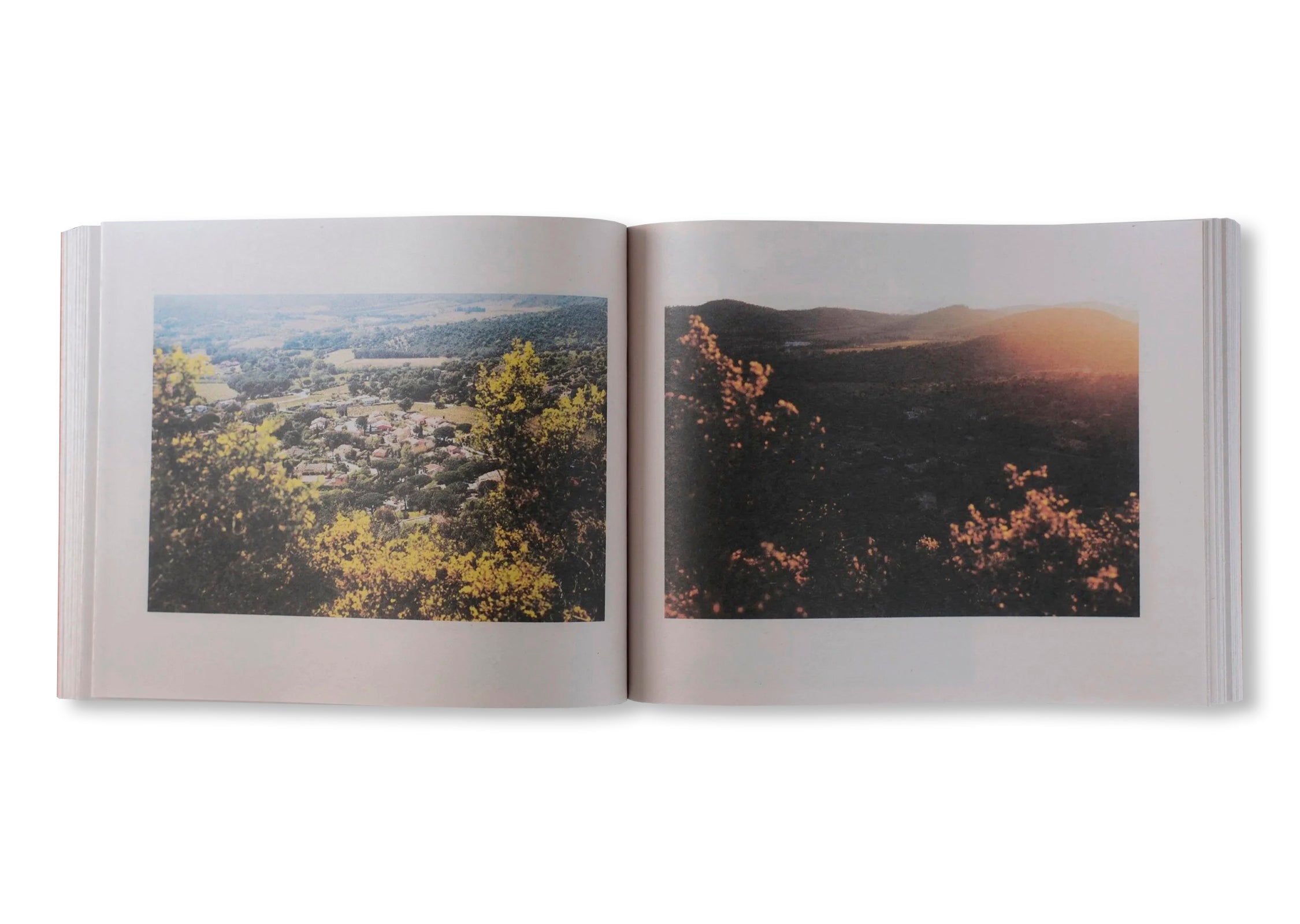 WALDEN; OR, LIFE IN THE WOODS, ARCHIVE 1993-2024, VOL. 2 by Peter Funch