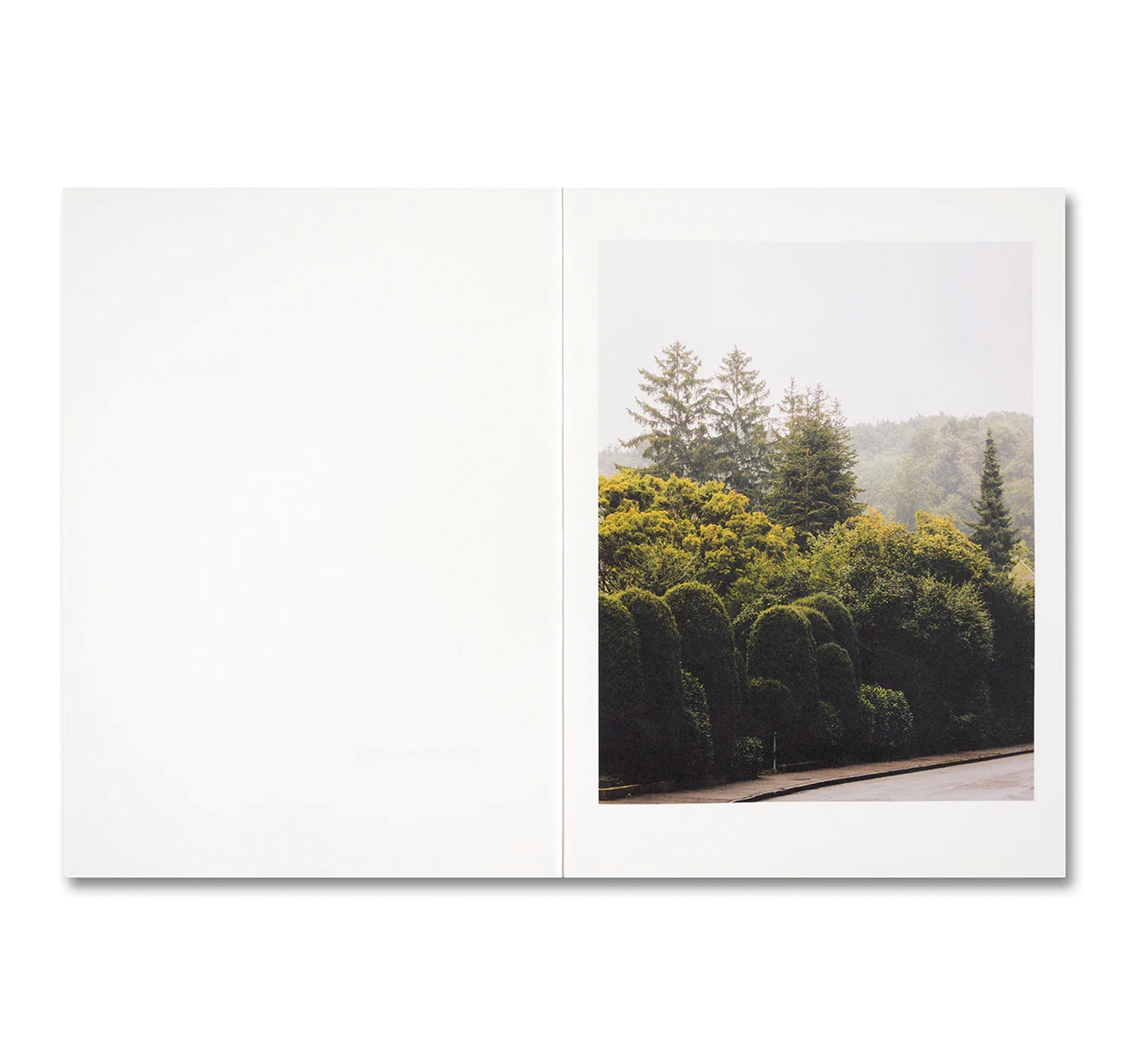 KOECHLIN HOUSE by Daisuke Hirabayashi
