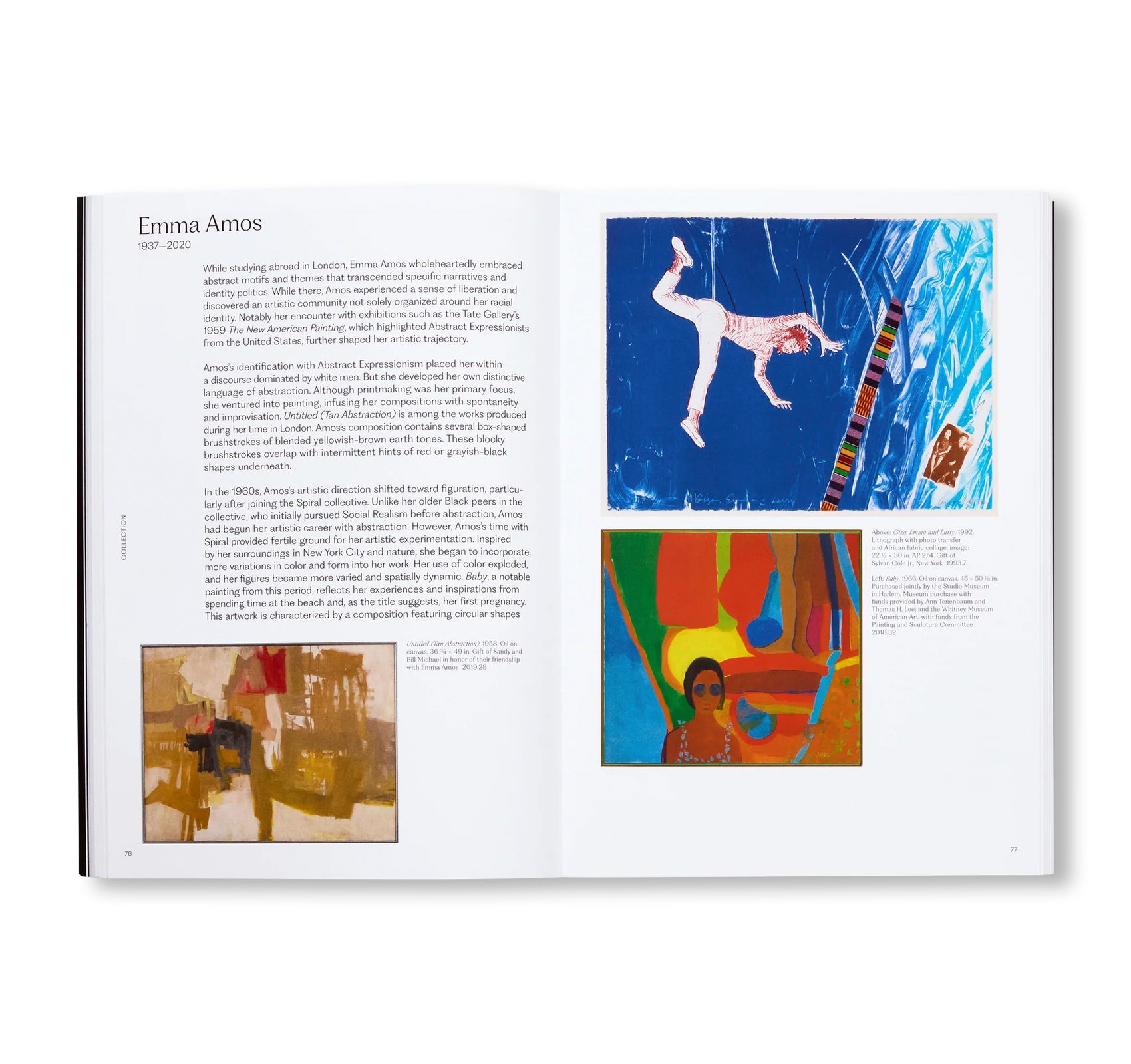 MEANING MATTER MEMORY: SELECTIONS FROM THE STUDIO MUSEUM IN HARLEM COLLECTION