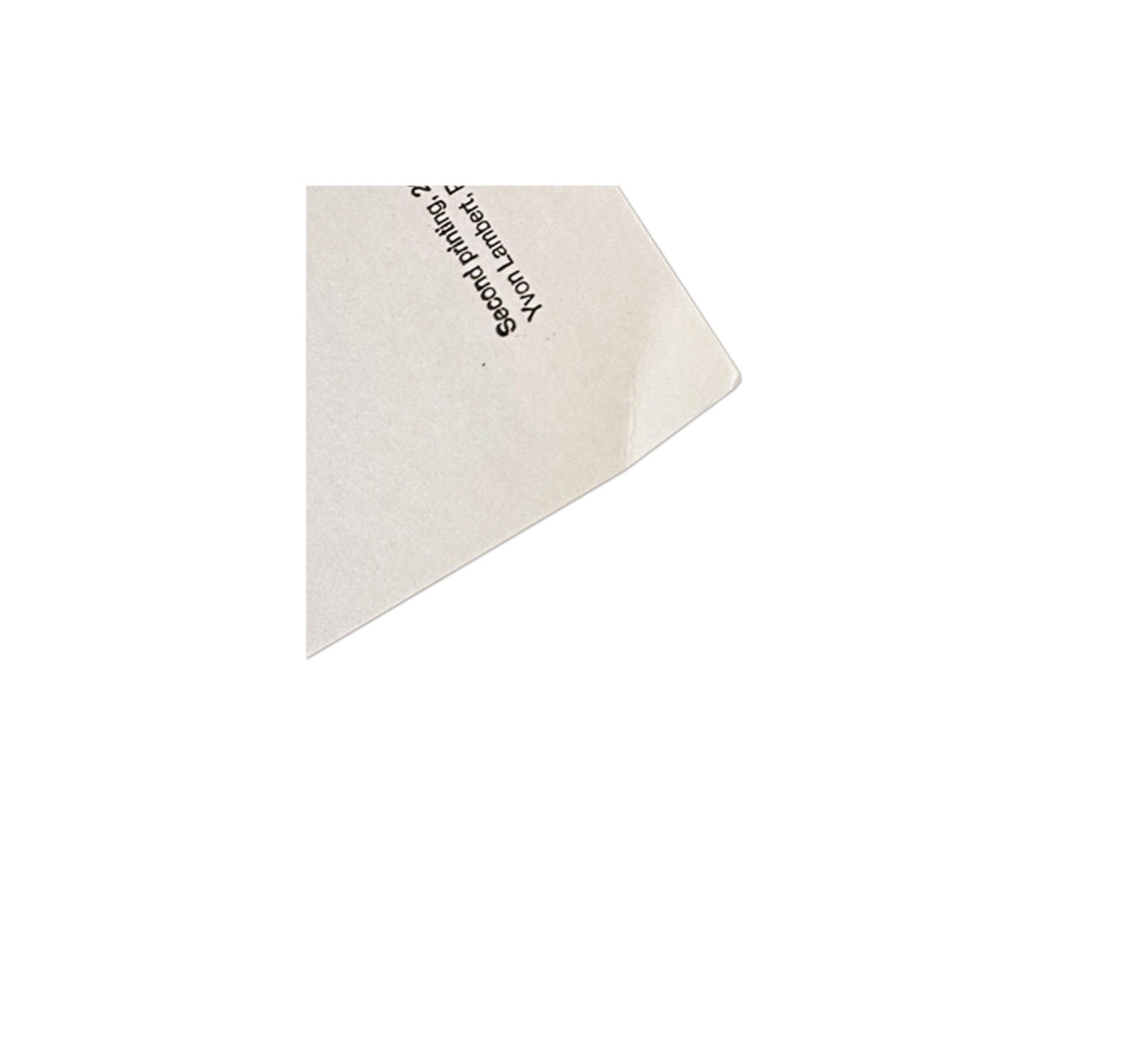 THREE DIALOGUES.1 PRINT (1977) by Cy Twombly [REPRINTED EDITION / SALE]