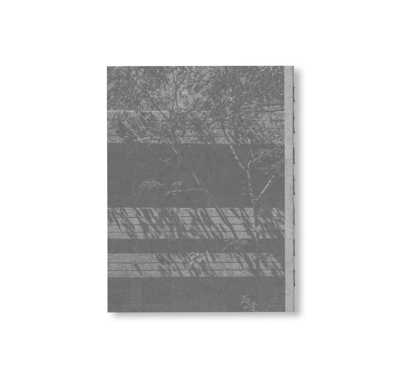 DETAILS AND AESTHETICS: UNKNOWN BRUTALISM ARCHITECTURE IN HONG KONG by Bob Pang, Kevin Mak