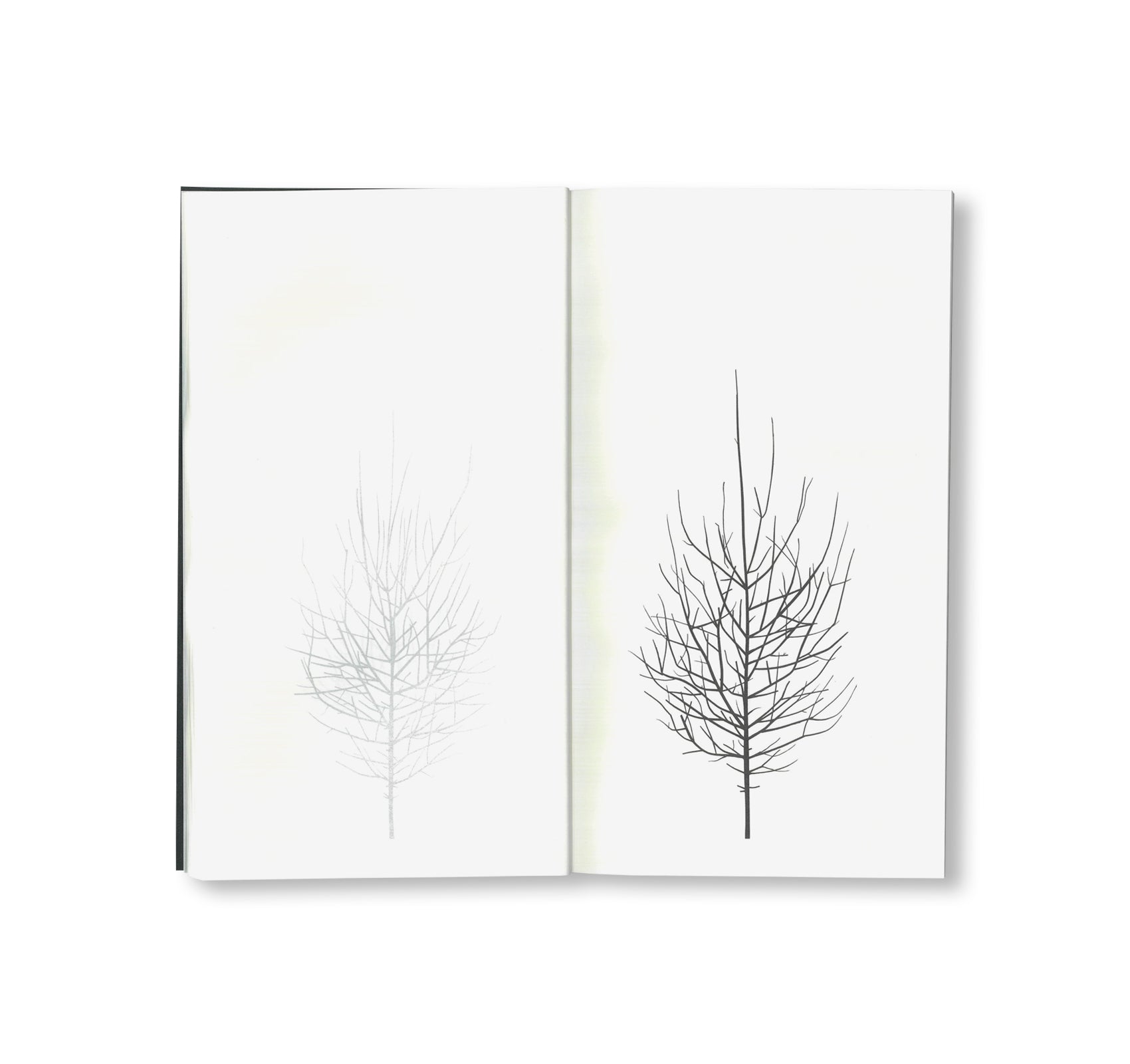 WINTER DRAWINGS by Peter Liversidge