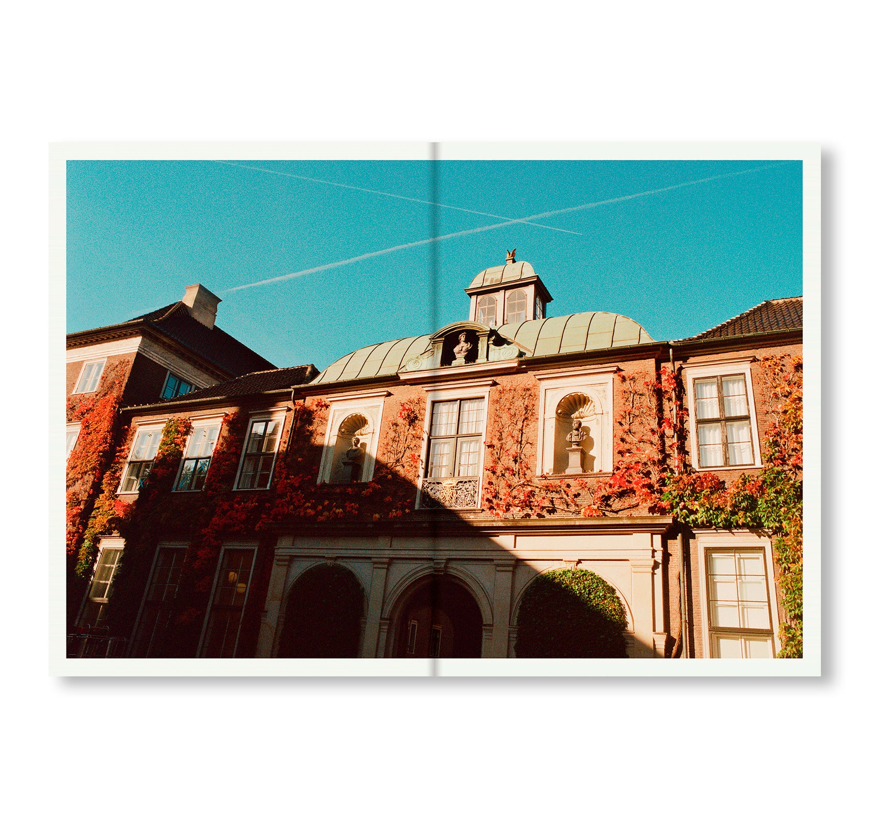 APOLLO: STATE-OF-THE-ART COOKING AND A PARTY by Frederik Bille Brahe