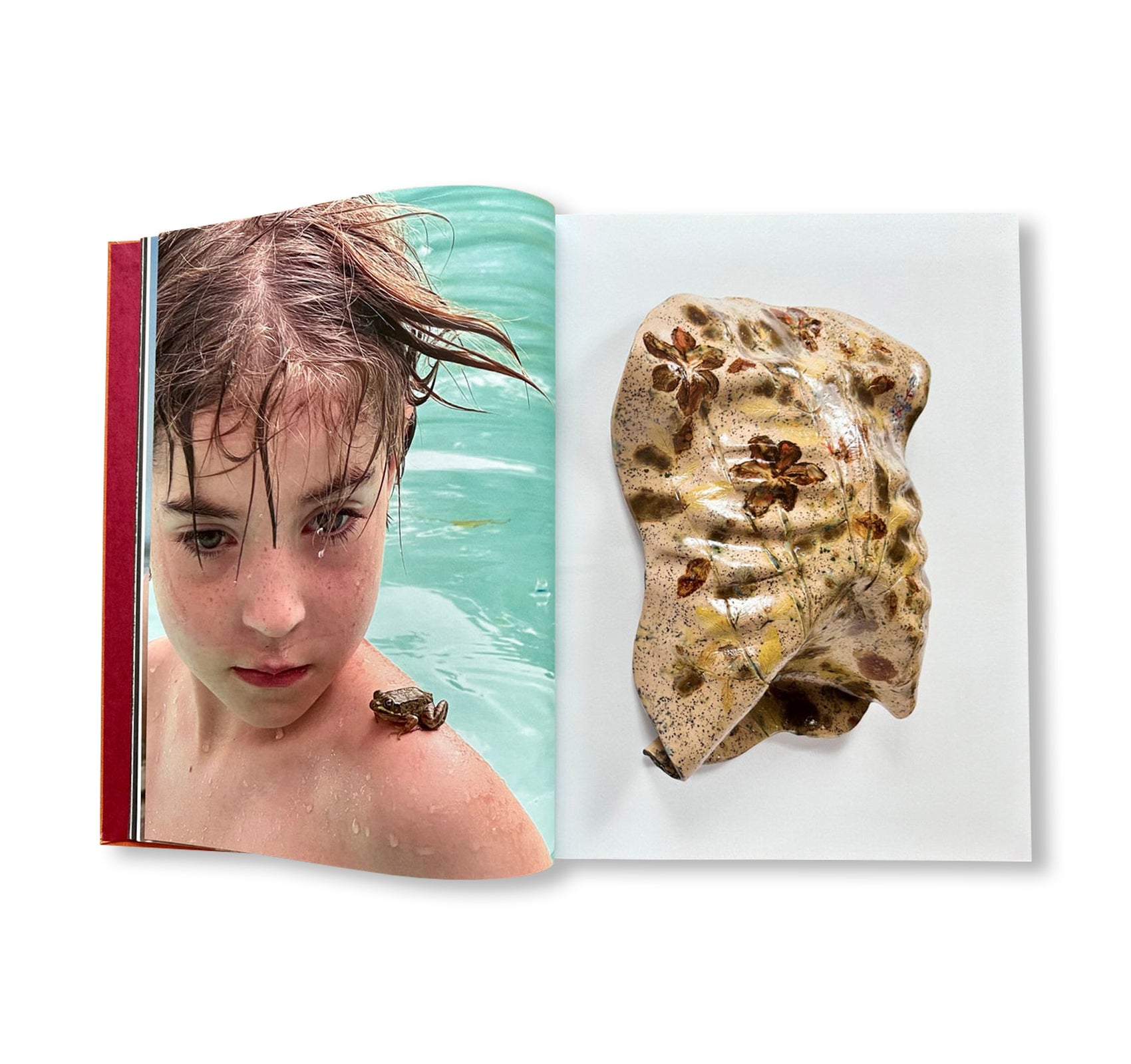 AFTER LIFE by Sam Falls