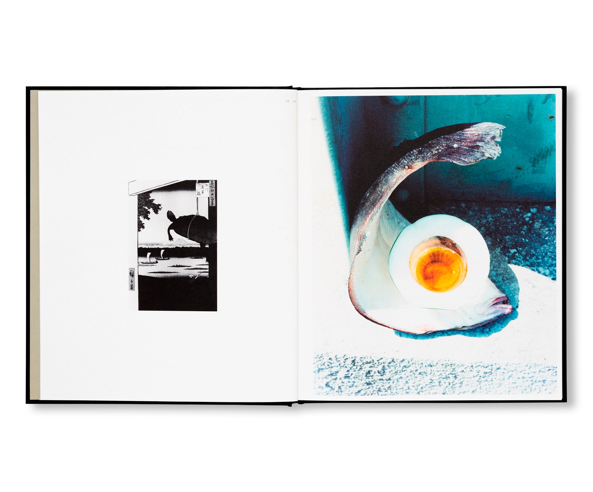 TOKYO FISHGRAPHS | 2020 by Naohiro Harada