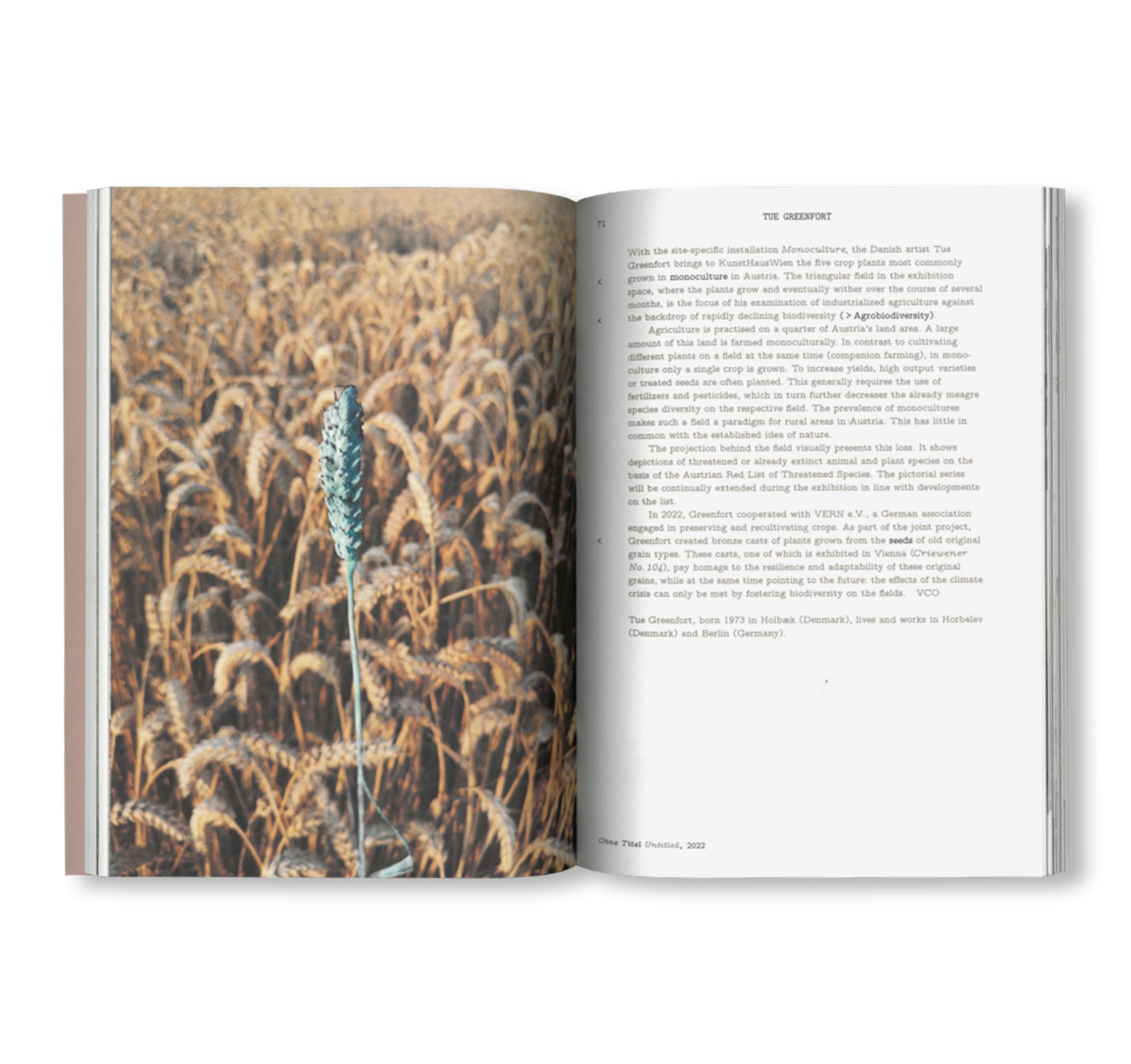 SEEDS - RECLAIMING ROOTS, SOWING FUTURES