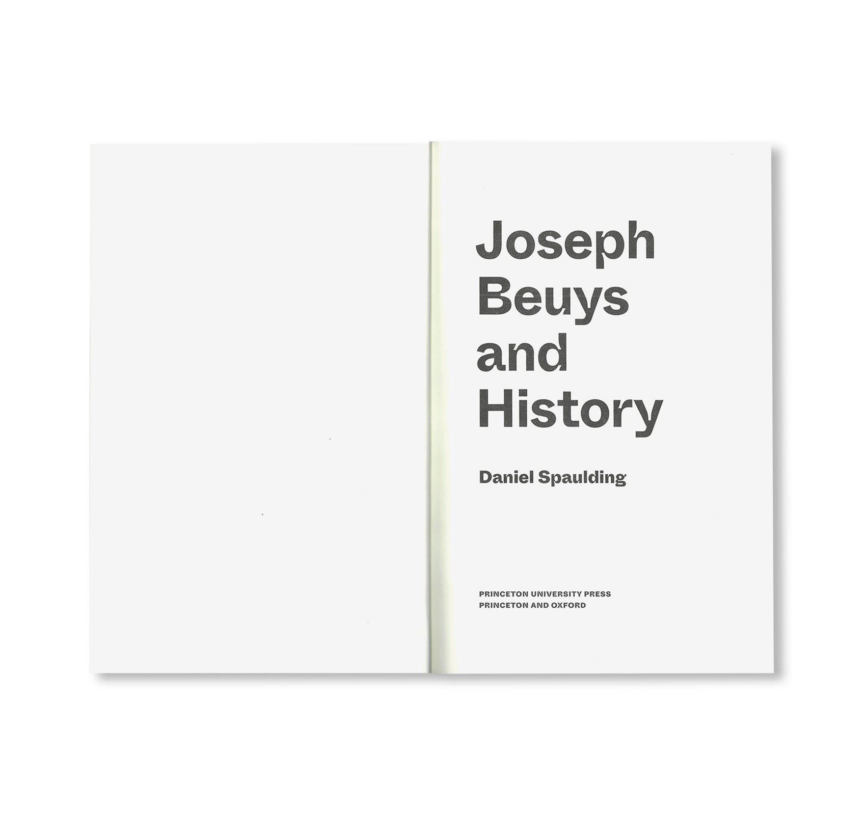 JOSEPH BEUYS AND HISTORY by Joseph Beuys