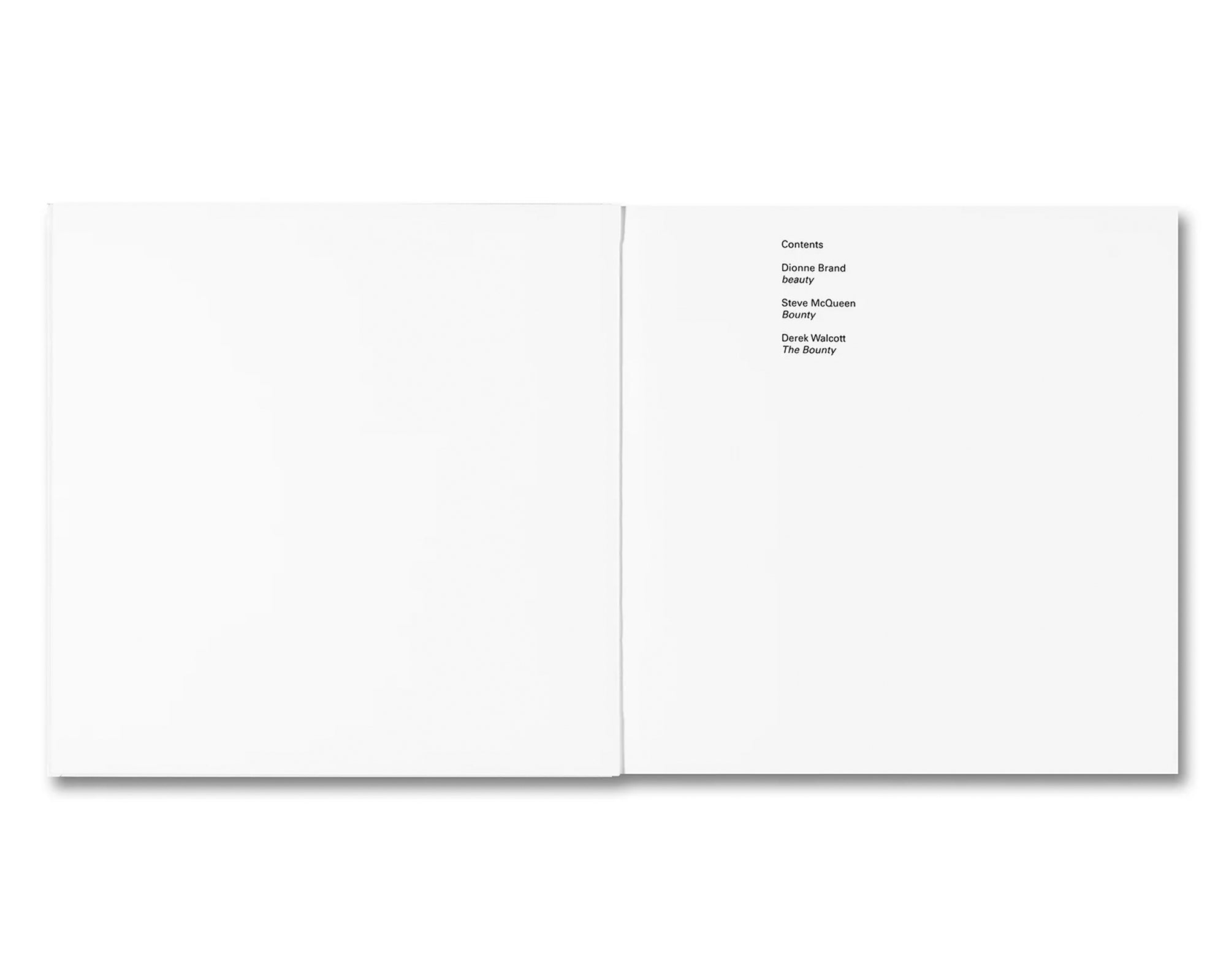 BOUNTY by Steve McQueen