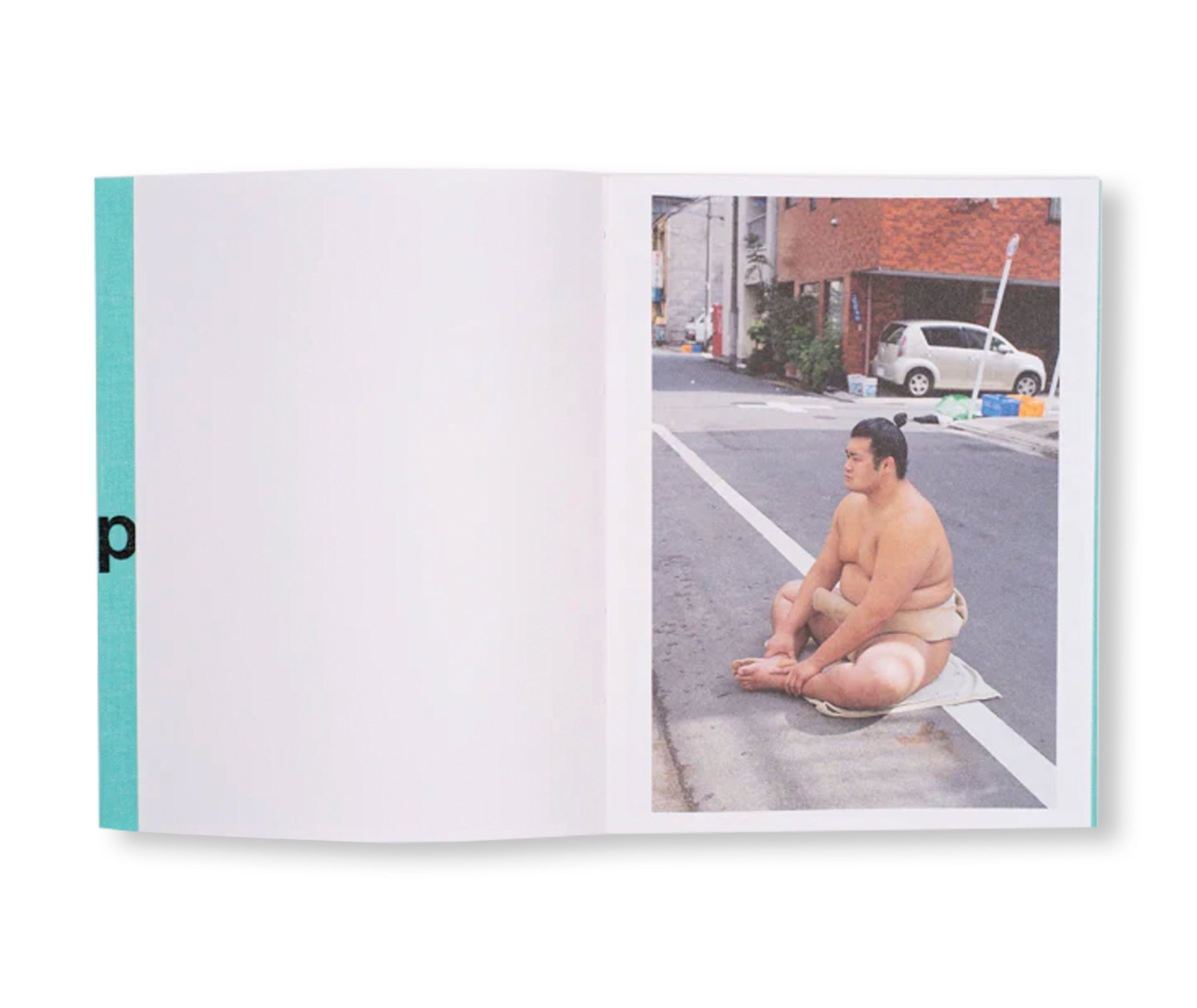 SUMO JUDO by Ari Marcopoulos