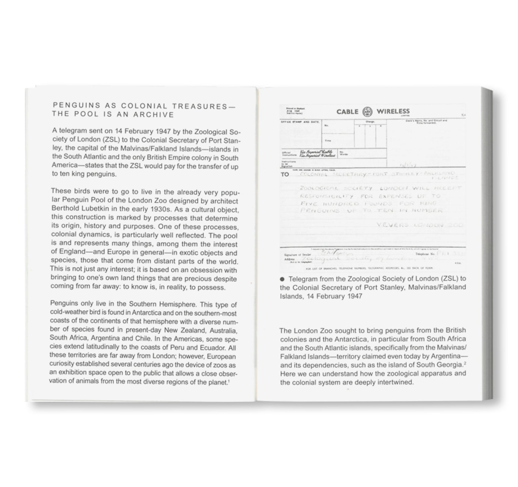 NOT A PENGUIN POOL: ECHOES OF MORE-THAN-HUMAN ENTANGLEMENTS / Bauhaus Paperback 28 by Stiftung Bauhaus Dessau