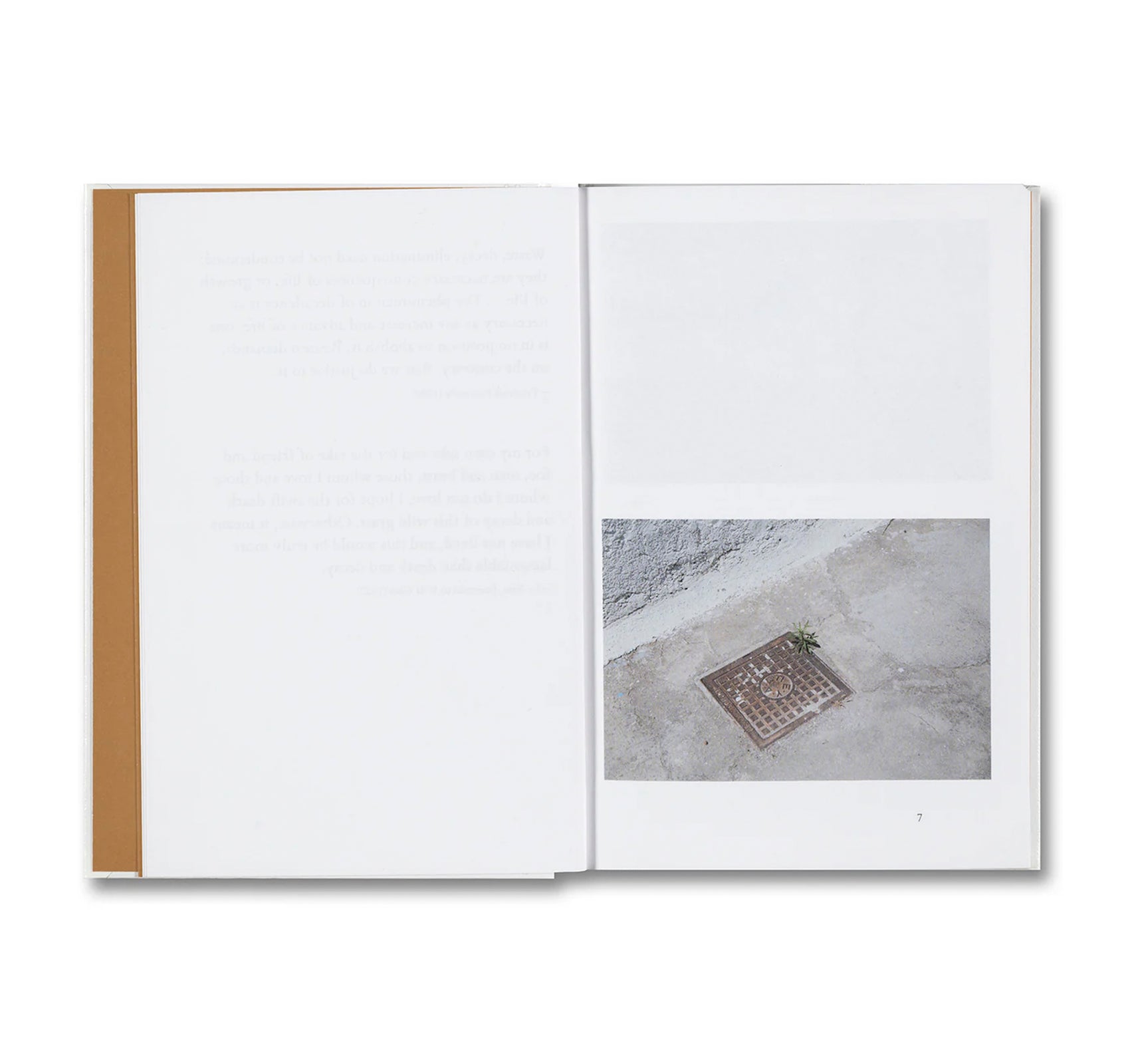 WEEDS: A GERMINATING THEORY by Kwan Queenie Li