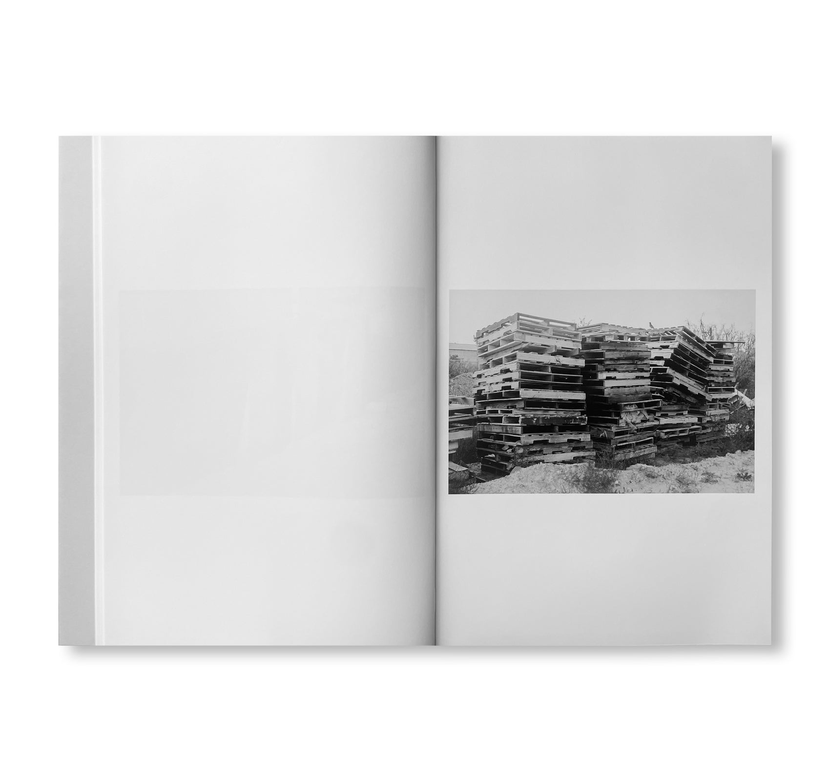 WESTTEXASPSYCHOSCULPTURE by Christopher Wool [SIGNED]