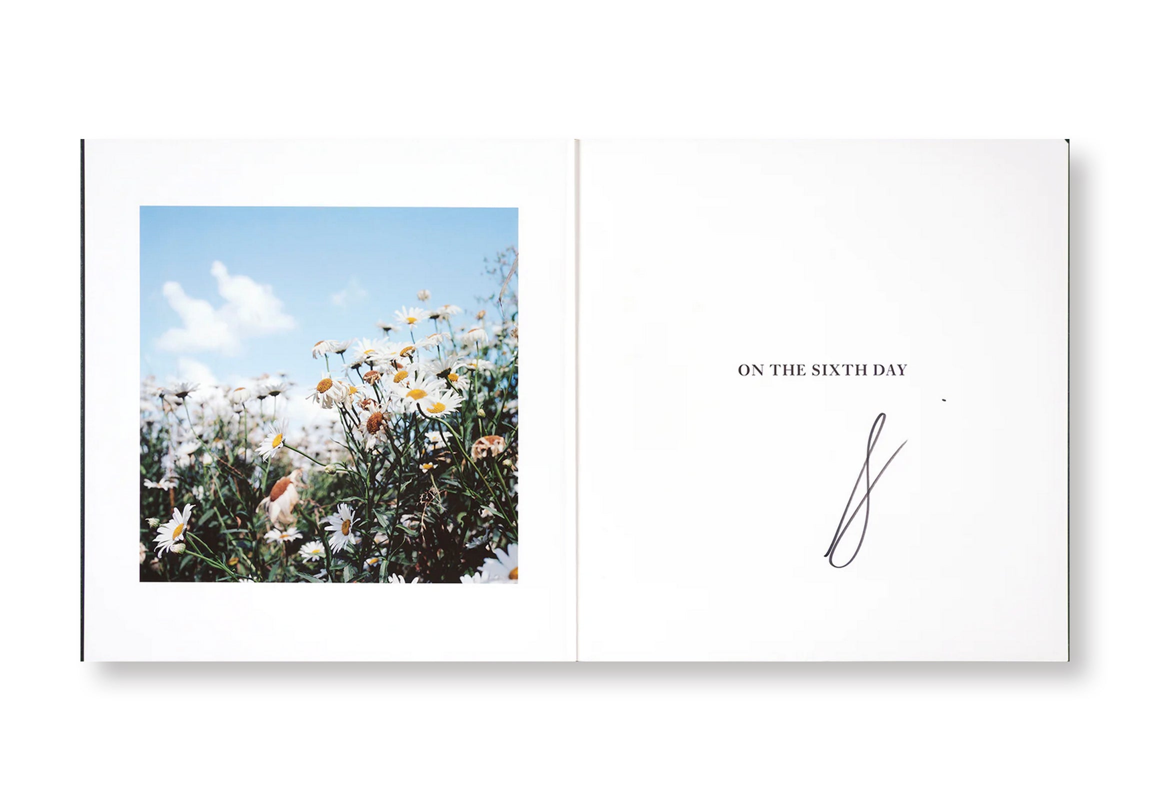 ON THE SIXTH DAY by Alessandra Sanguinetti  [SIGNED]