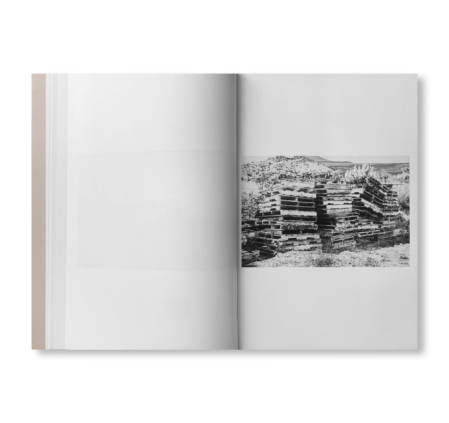 YARD by Christopher Wool [SIGNED]
