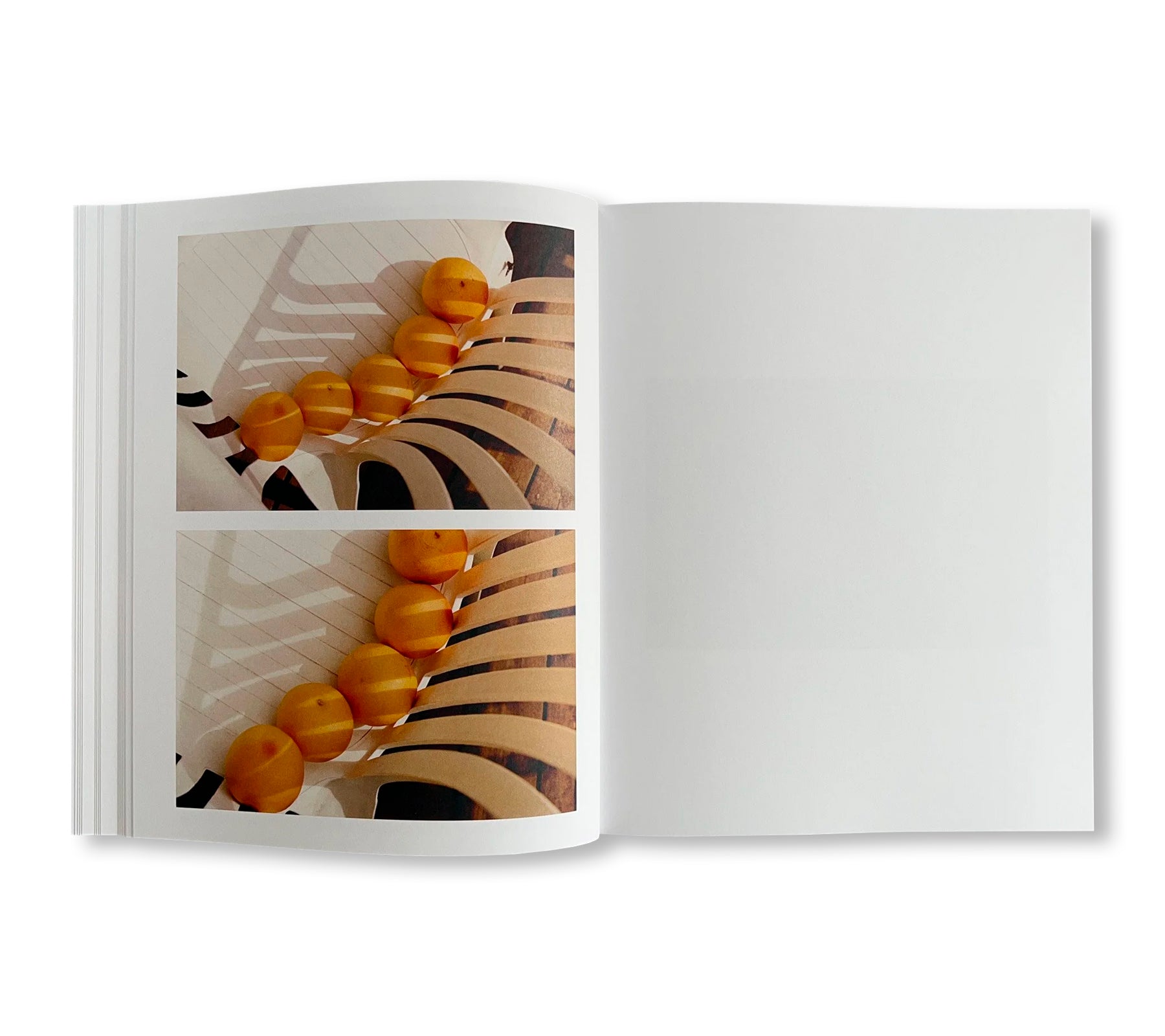 GATES TO THE GARDEN by Adam Kremer