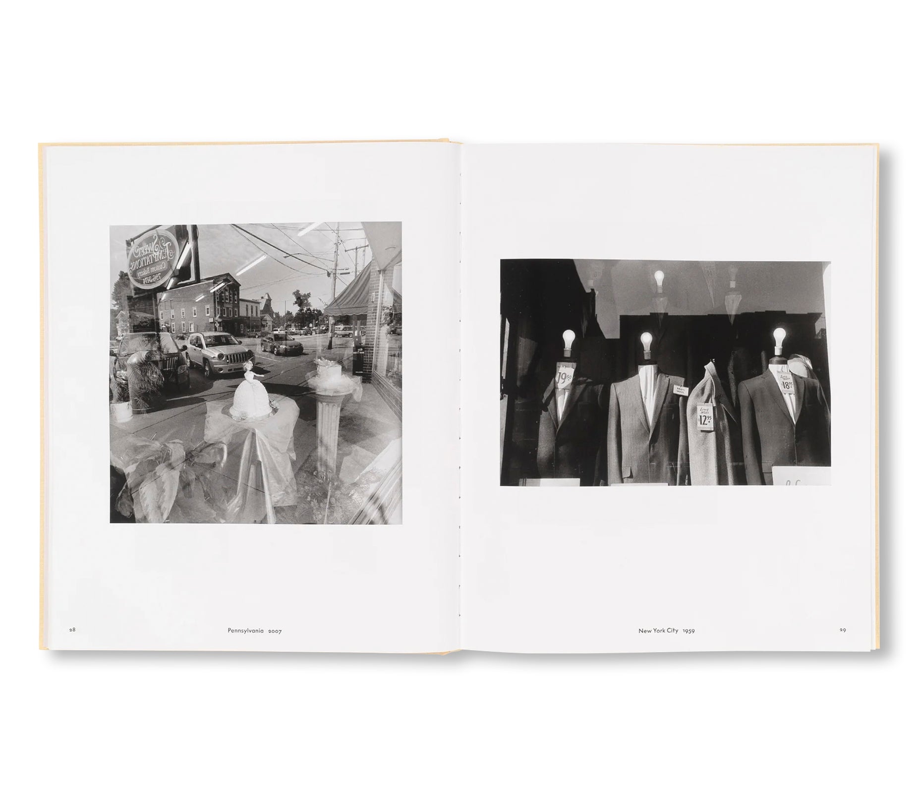 LIFE STILL by Lee Friedlander