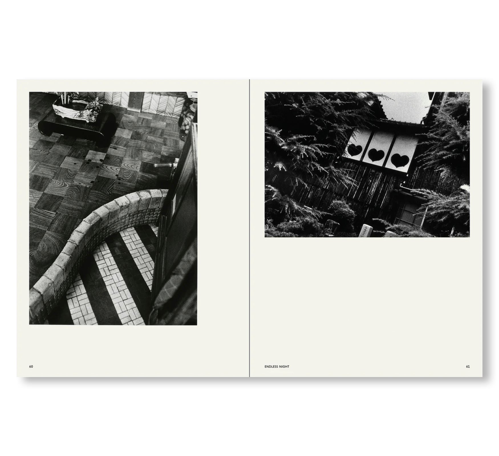 TRACES by Miyako Ishiuchi