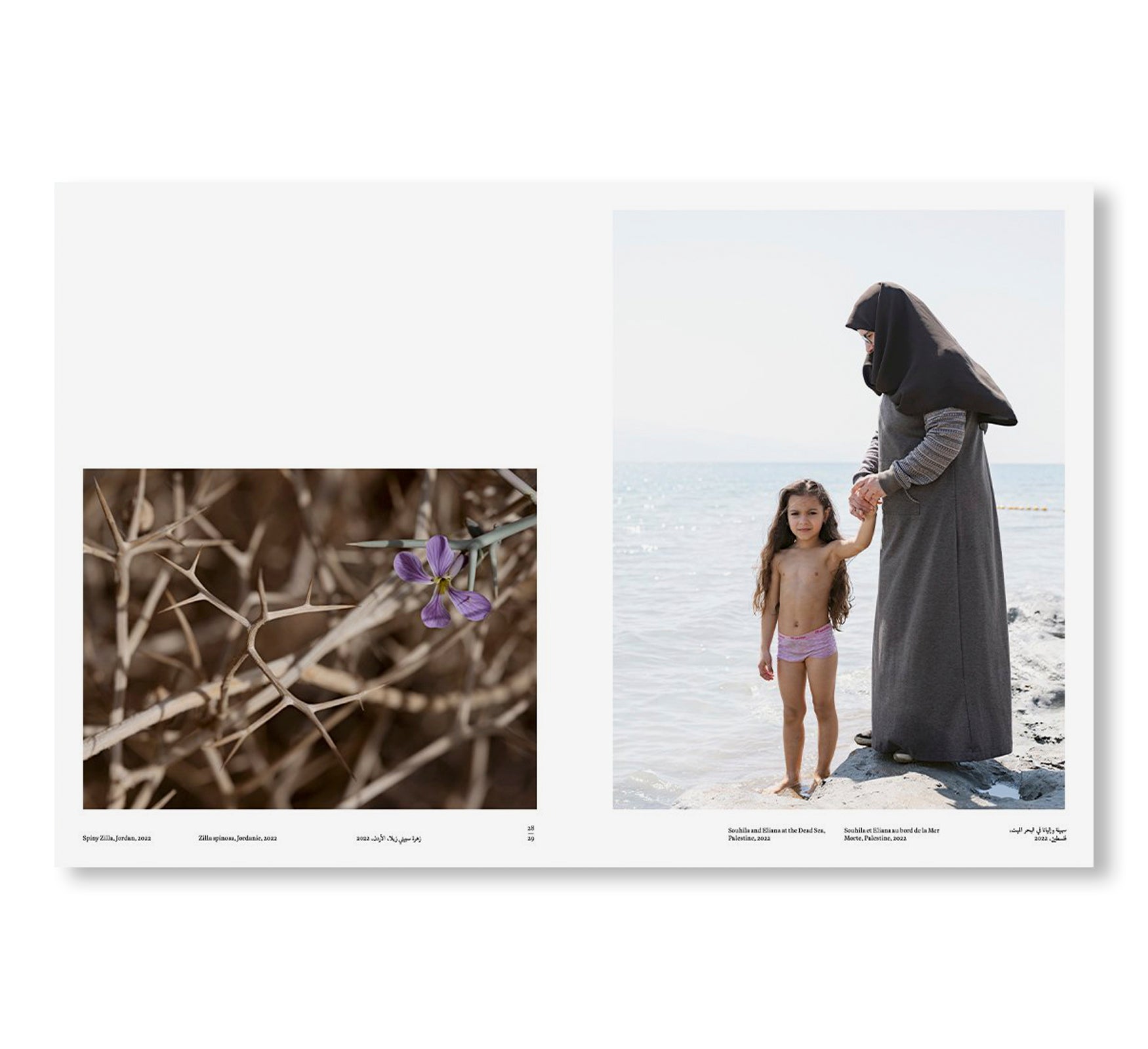 CONSTANT BLOOM by Lucas Foglia