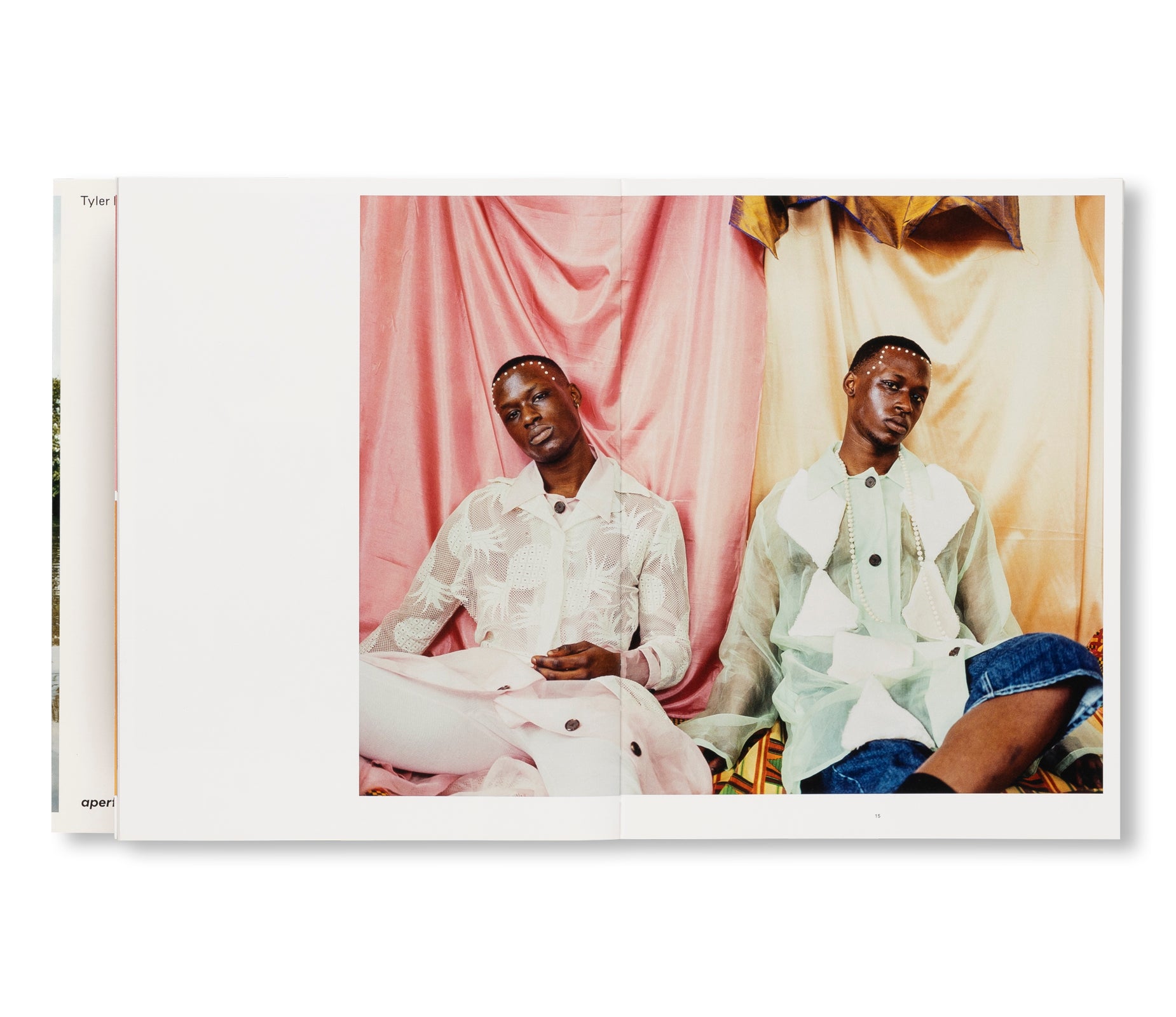 WISH THIS WAS REAL by Tyler Mitchell