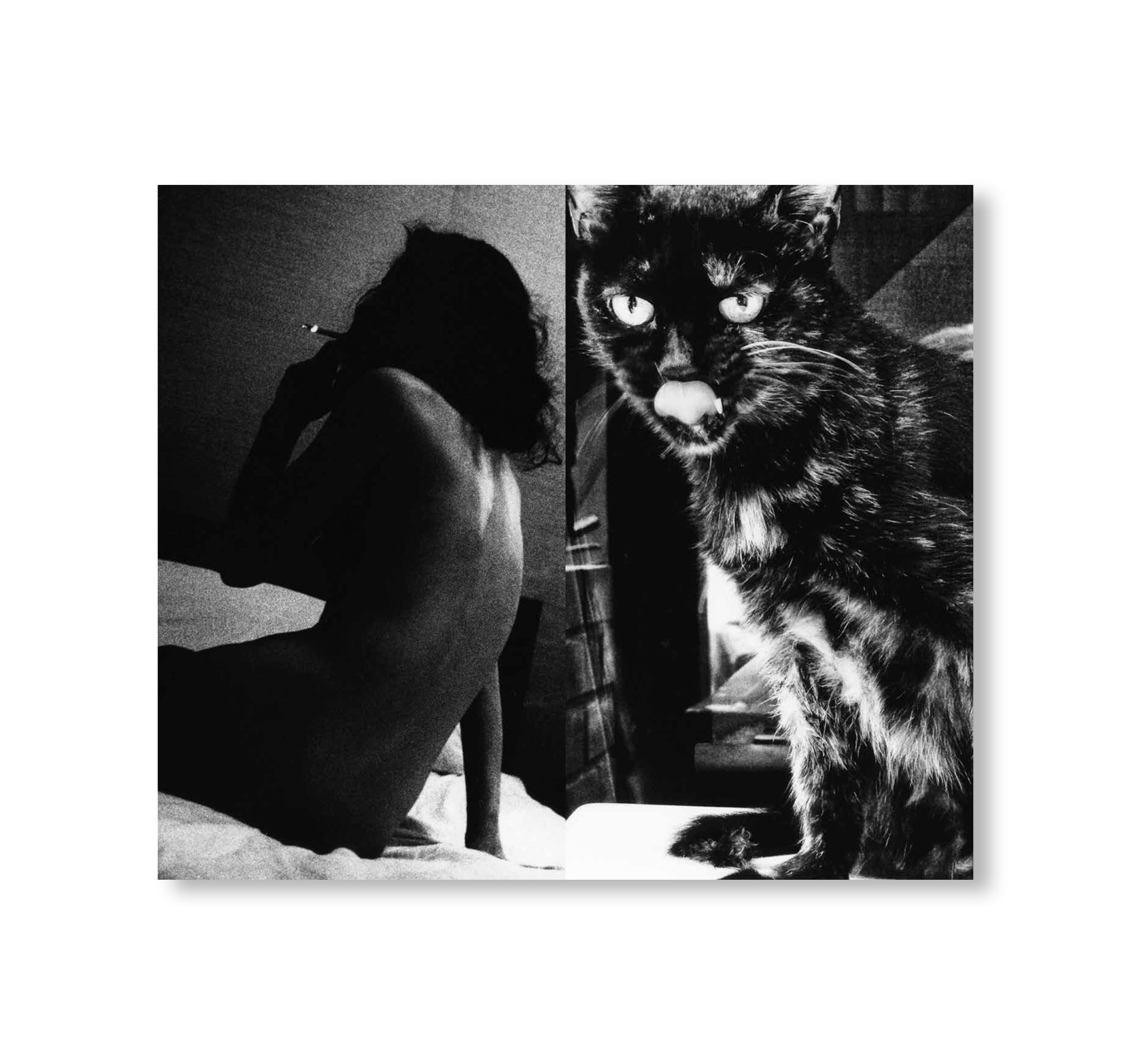 HOW TO TOKYO AT NIGHT by Daido Moriyama
