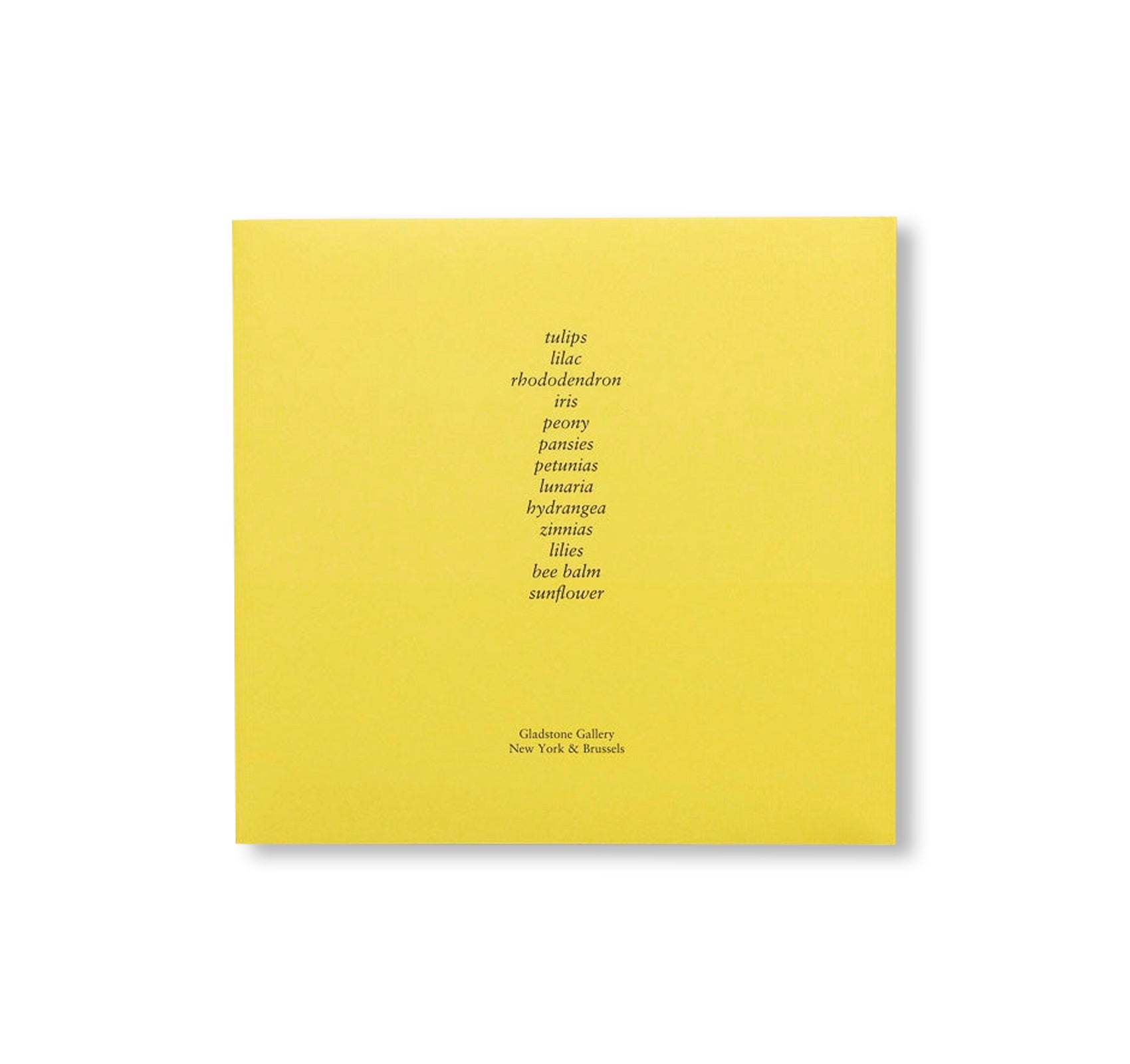 A SUMMER by Amy Sillman