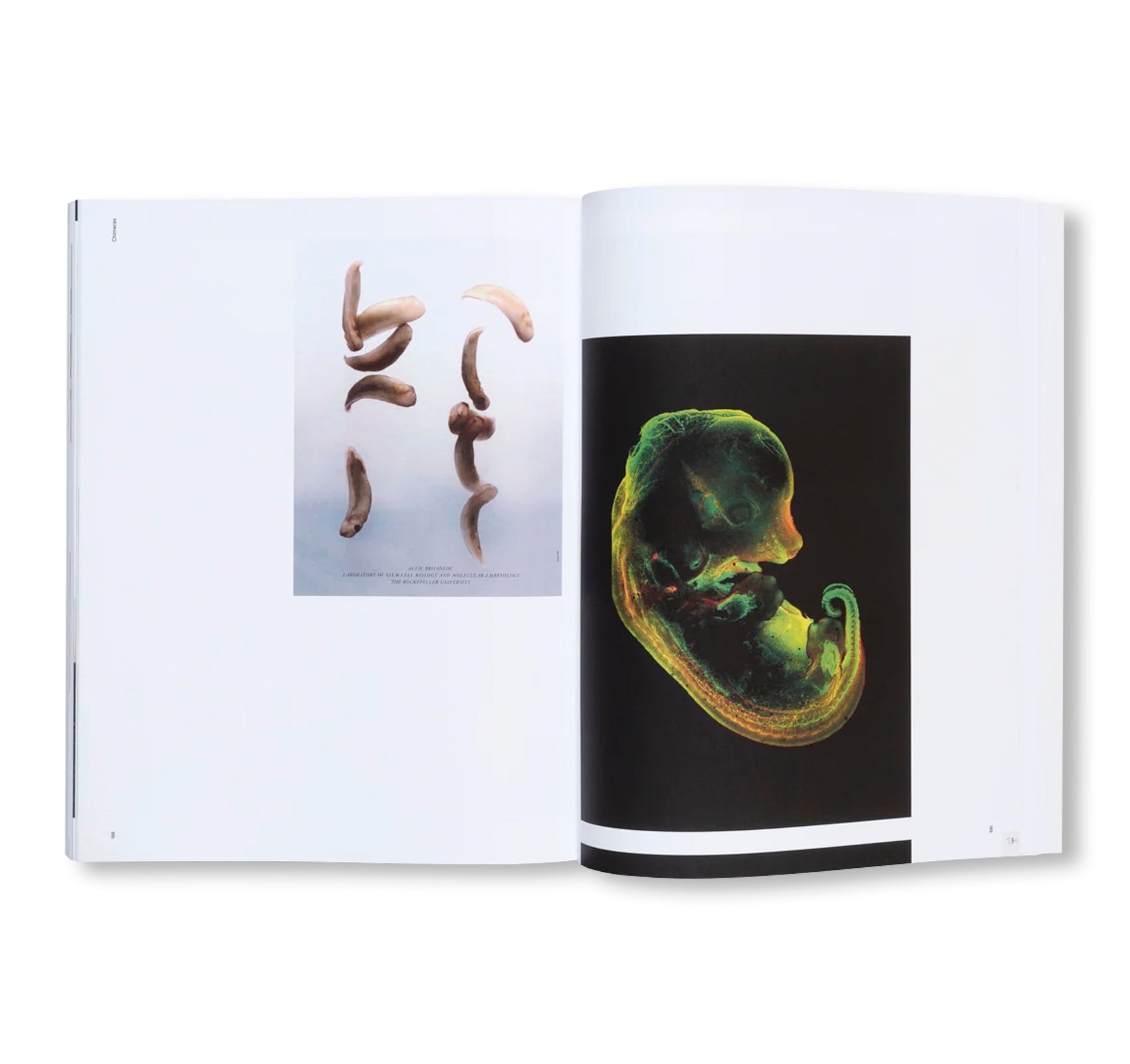 PIERRE HUYGHE by Pierre Huyghe (HATJE CANTZ)